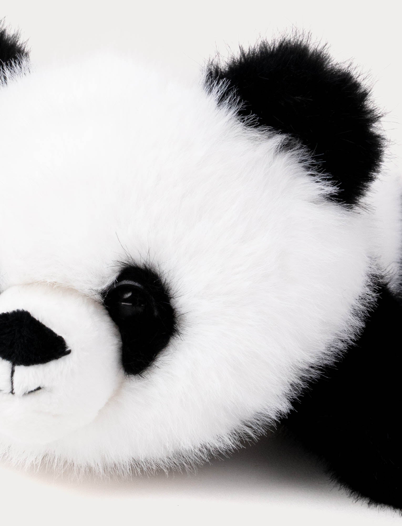  Image of Soft Squad, Panda