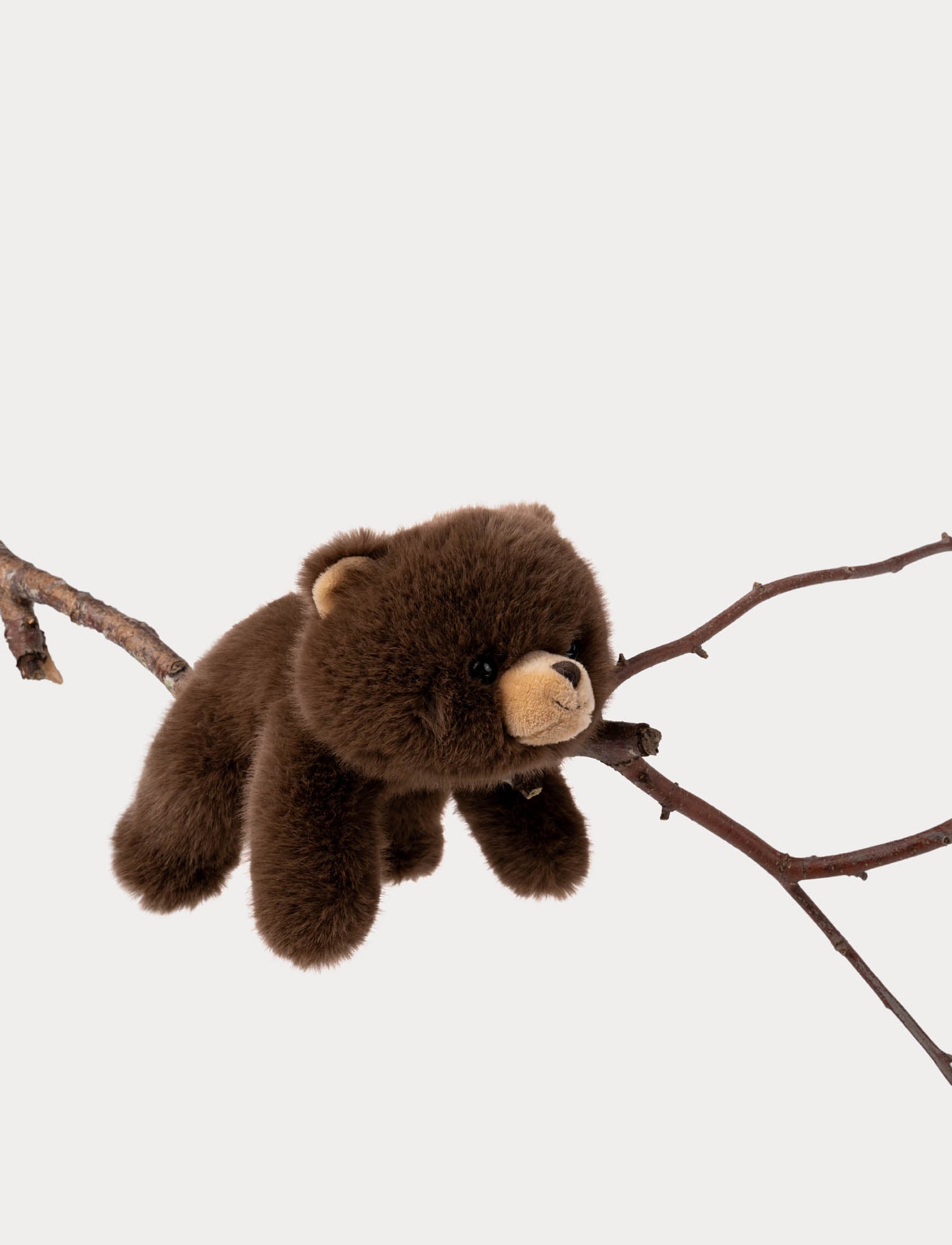  Image of Soft Squad, Bear