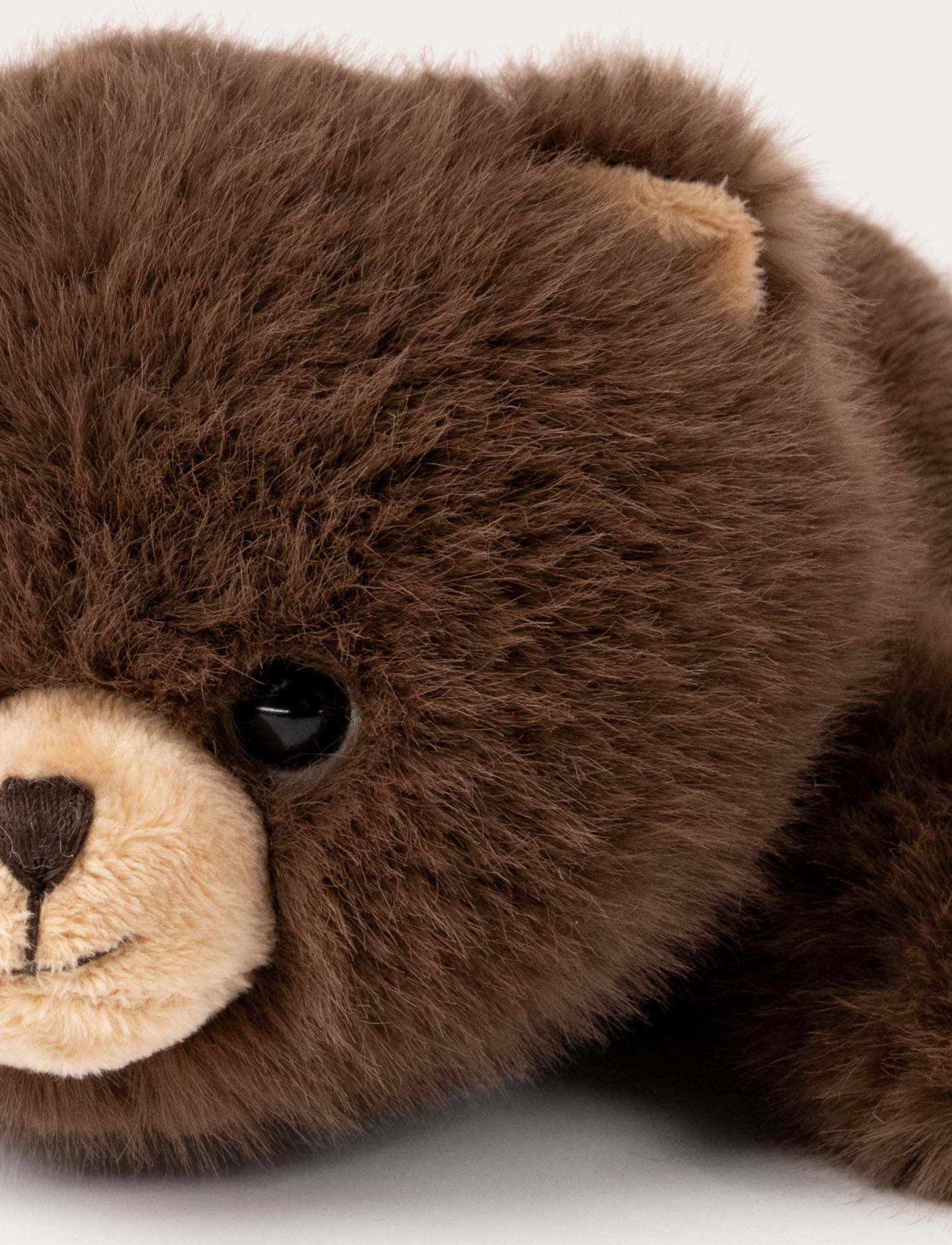  Image of Soft Squad, Bear