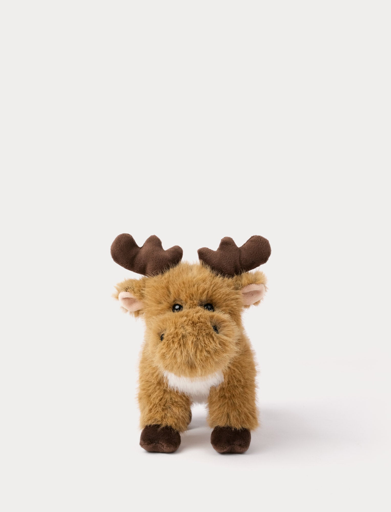  Image of Teddy Forest, Moose