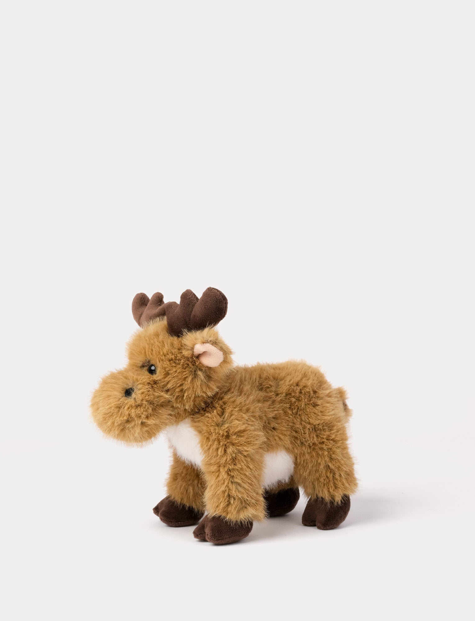  Image of Teddy Forest, Moose