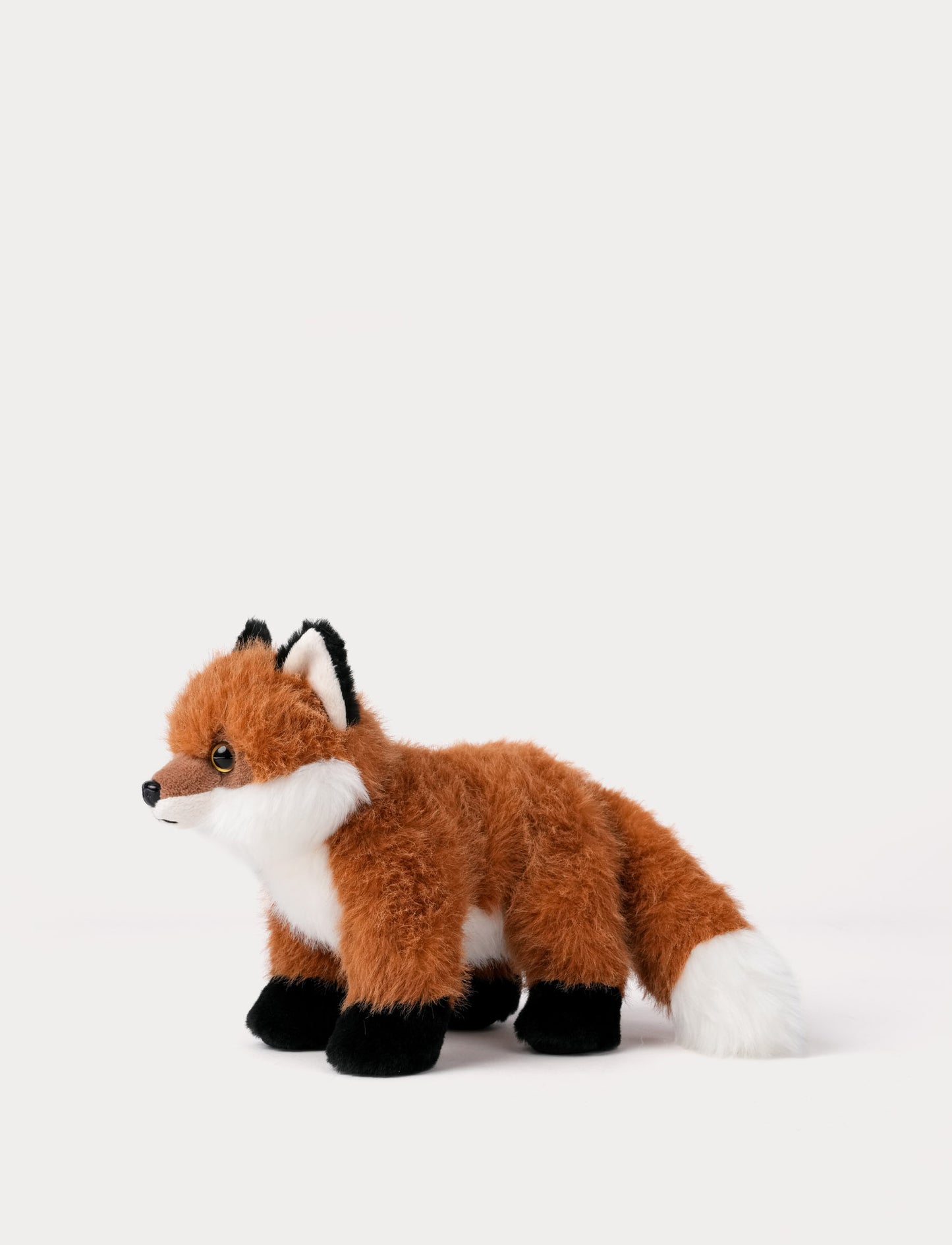 Teddy Forest, Fox