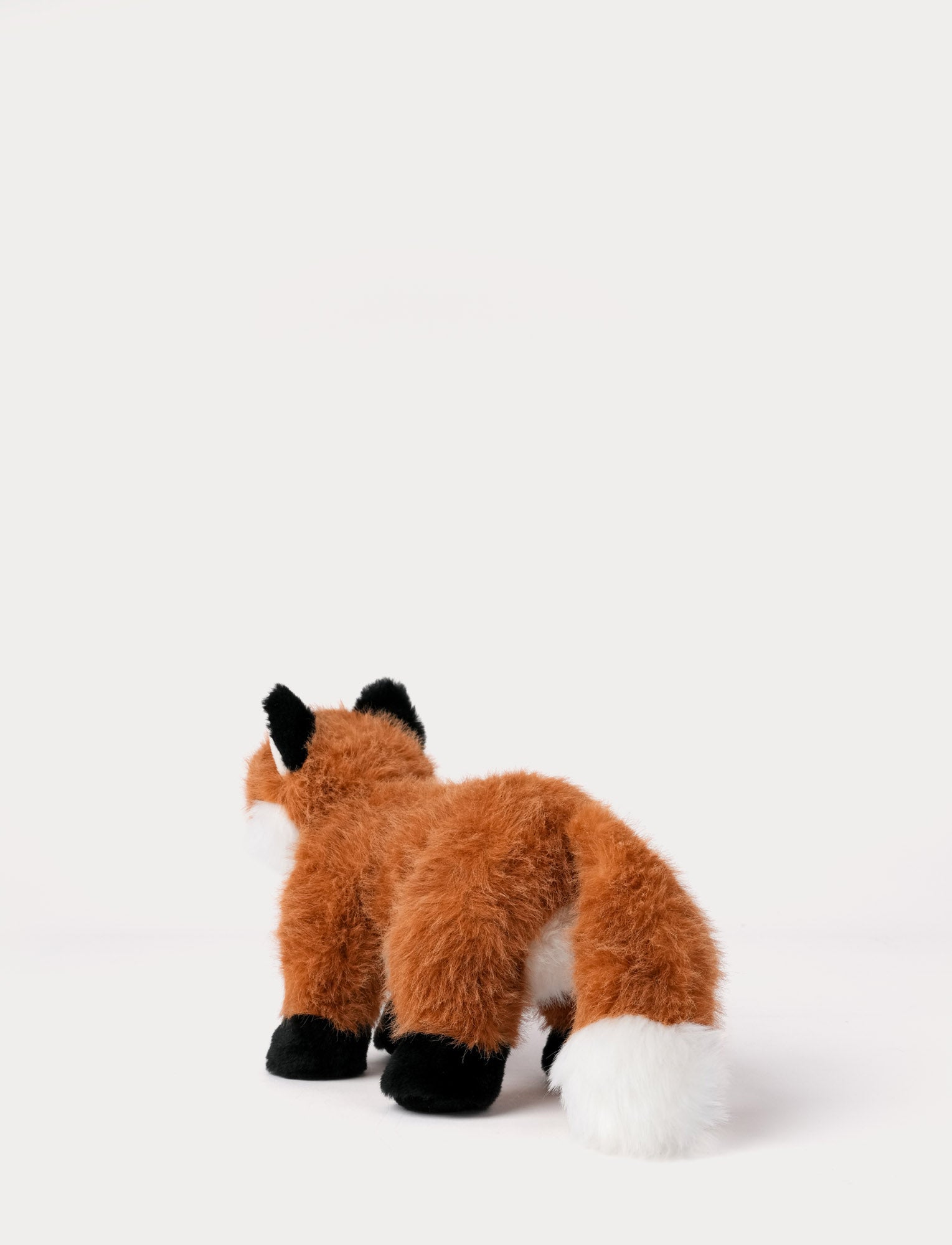  Image of Teddy Forest, Fox