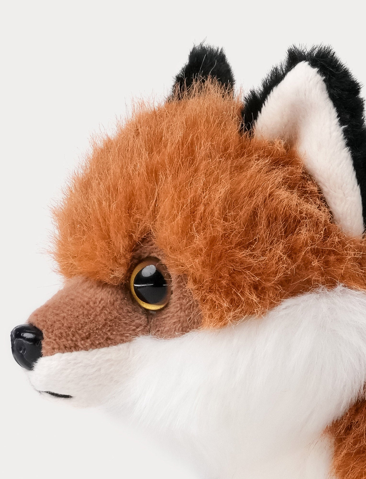 Image of Teddy Forest, Fox