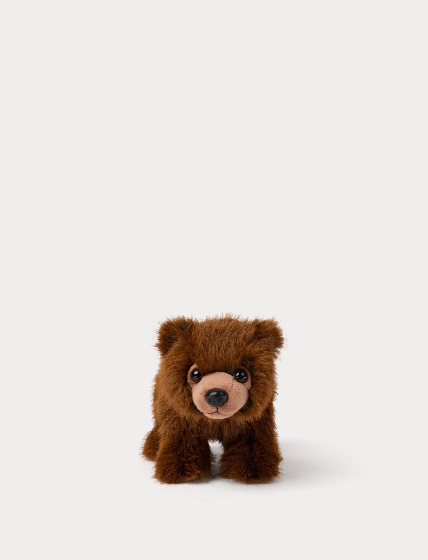 Teddy Forest, Bear