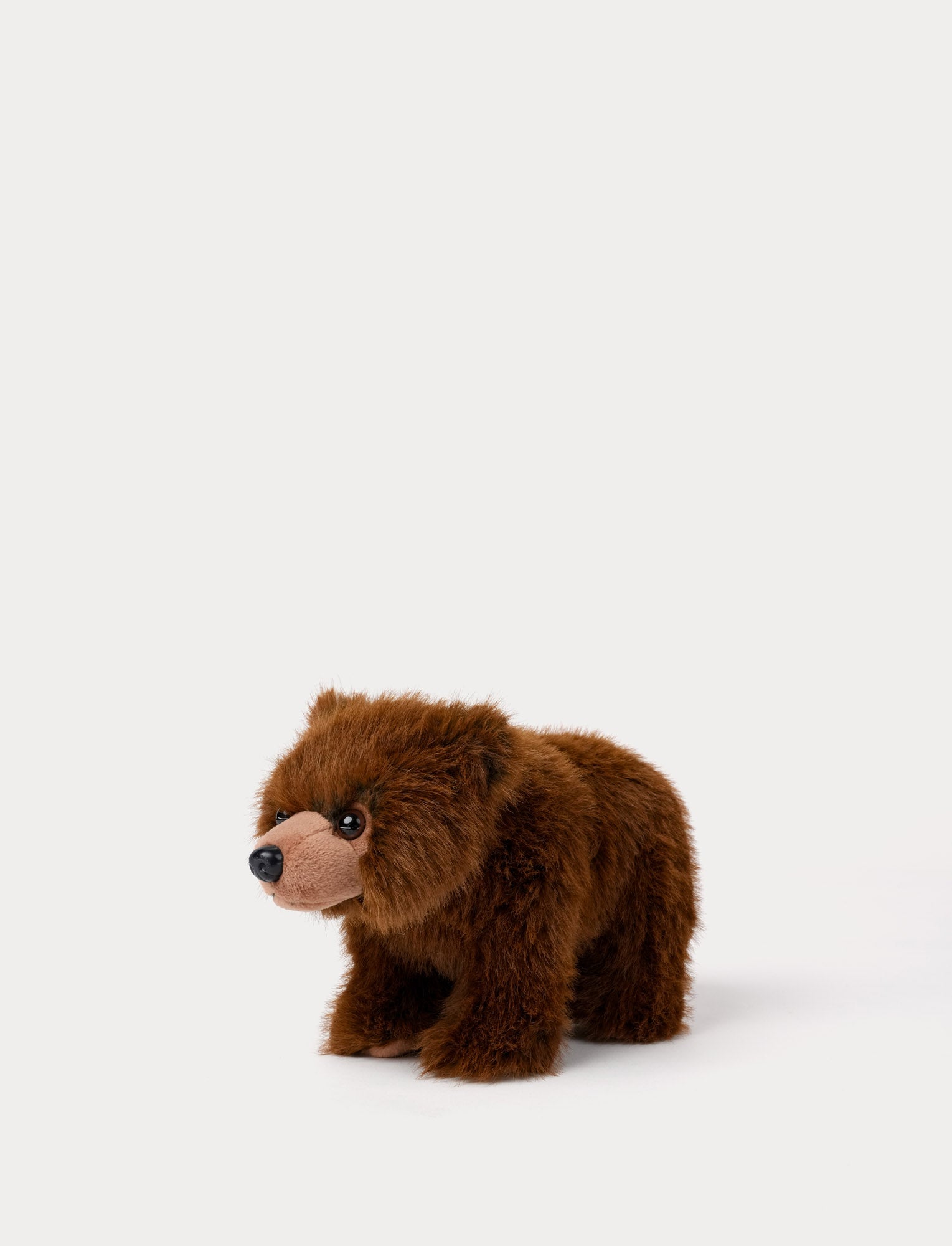  Image of Teddy Forest, Bear