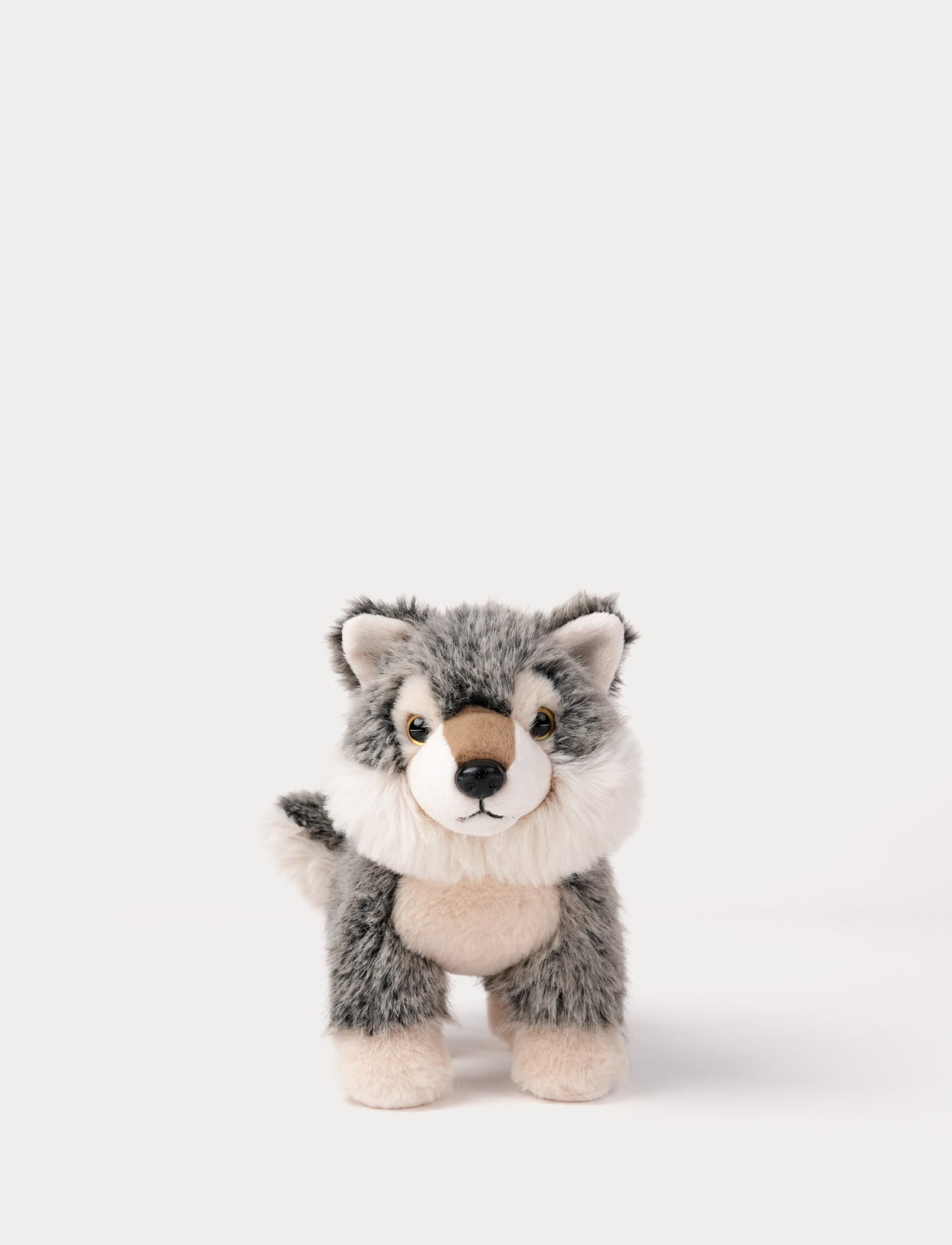 Teddy Forest, Wolf