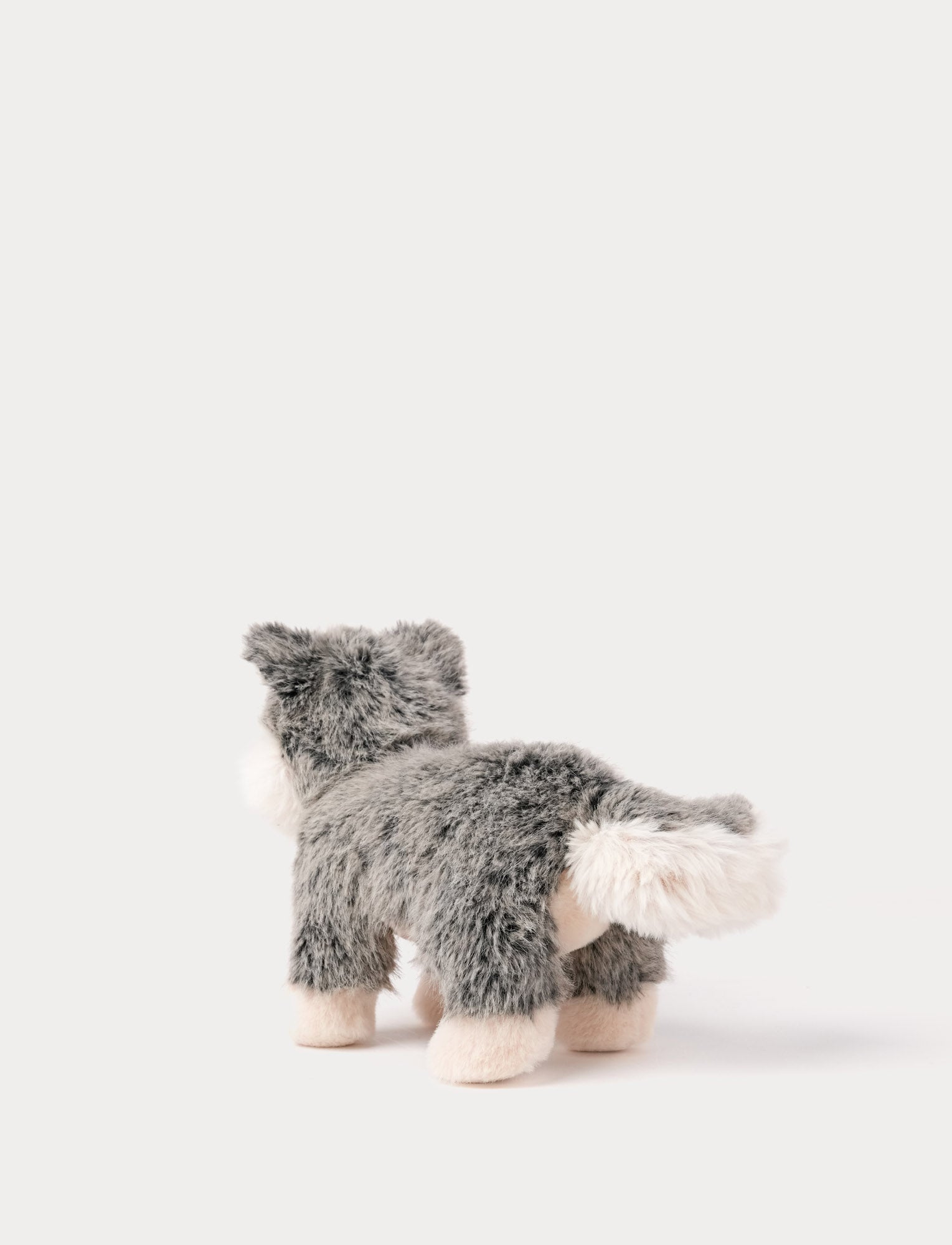  Image of Teddy Forest, Wolf