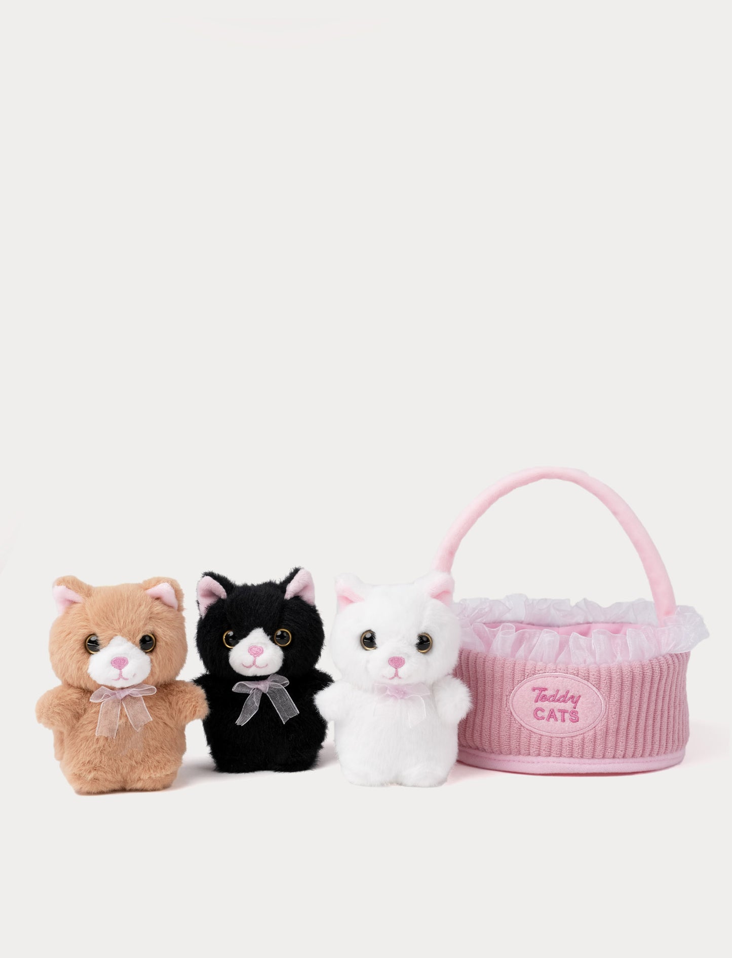 Teddy Cats, gift basket, 3 diff.
