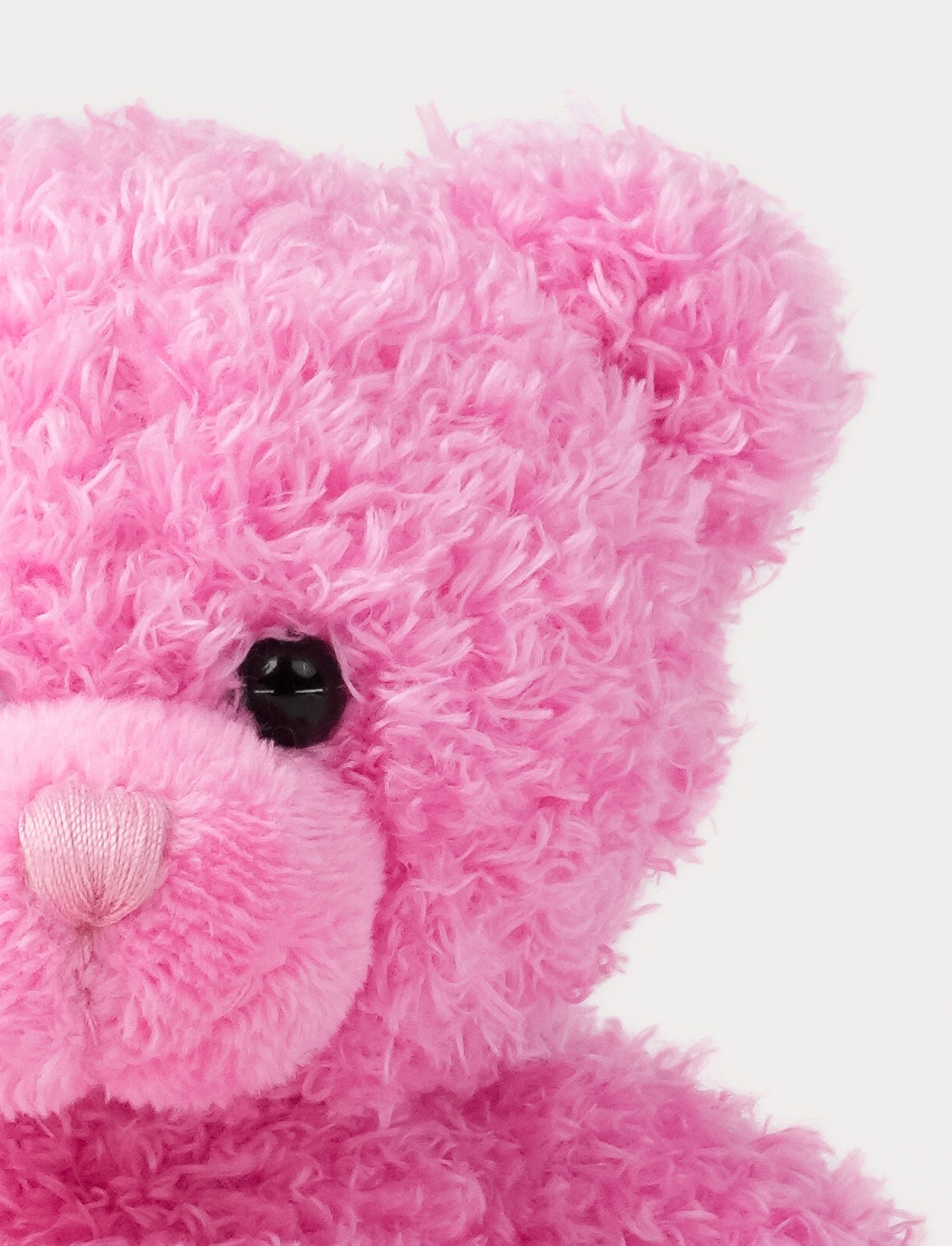  Image of Color Cubs, teddy, pink
