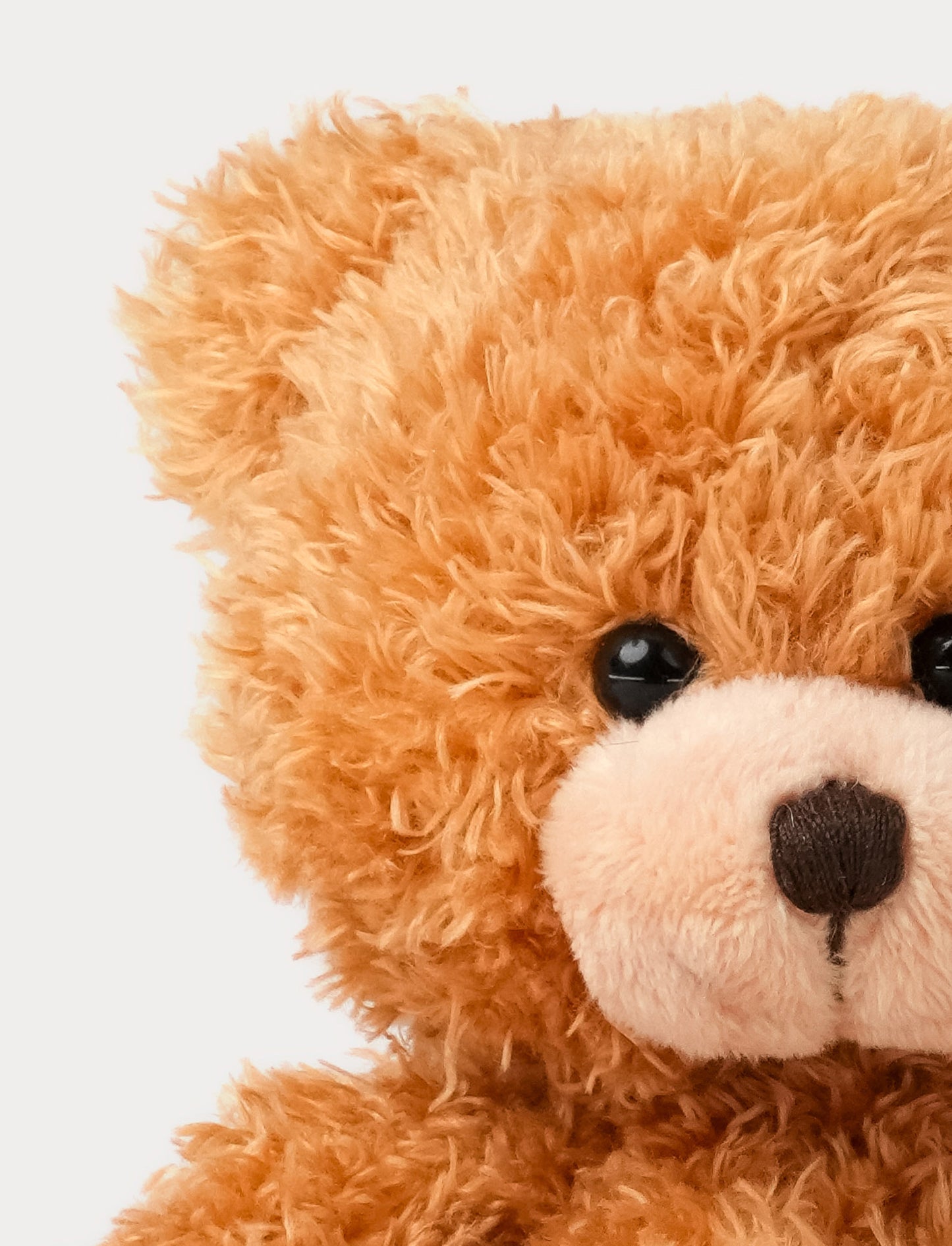 Color Cubs, teddy, brown