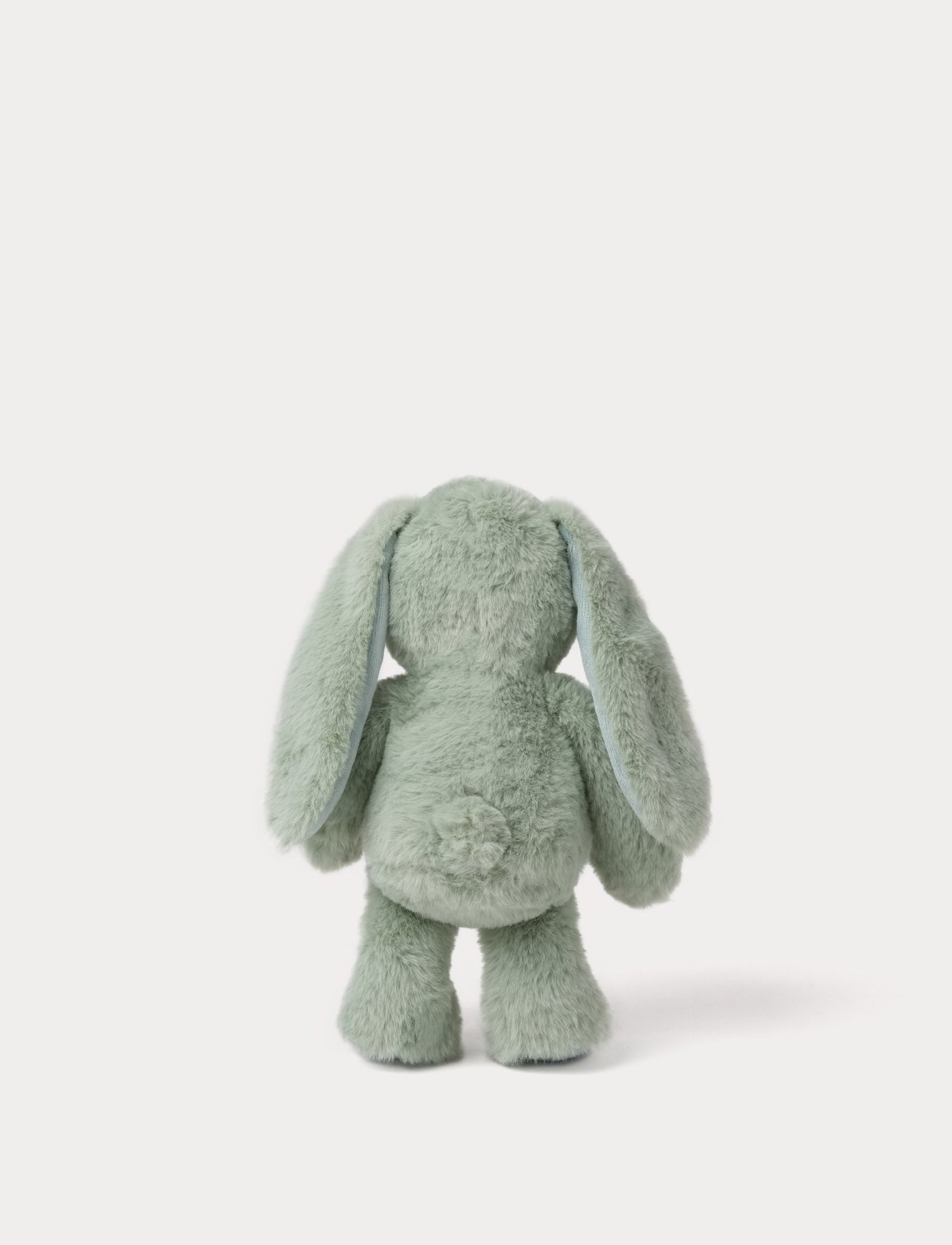  Image of Blooming Bunny, Ivy