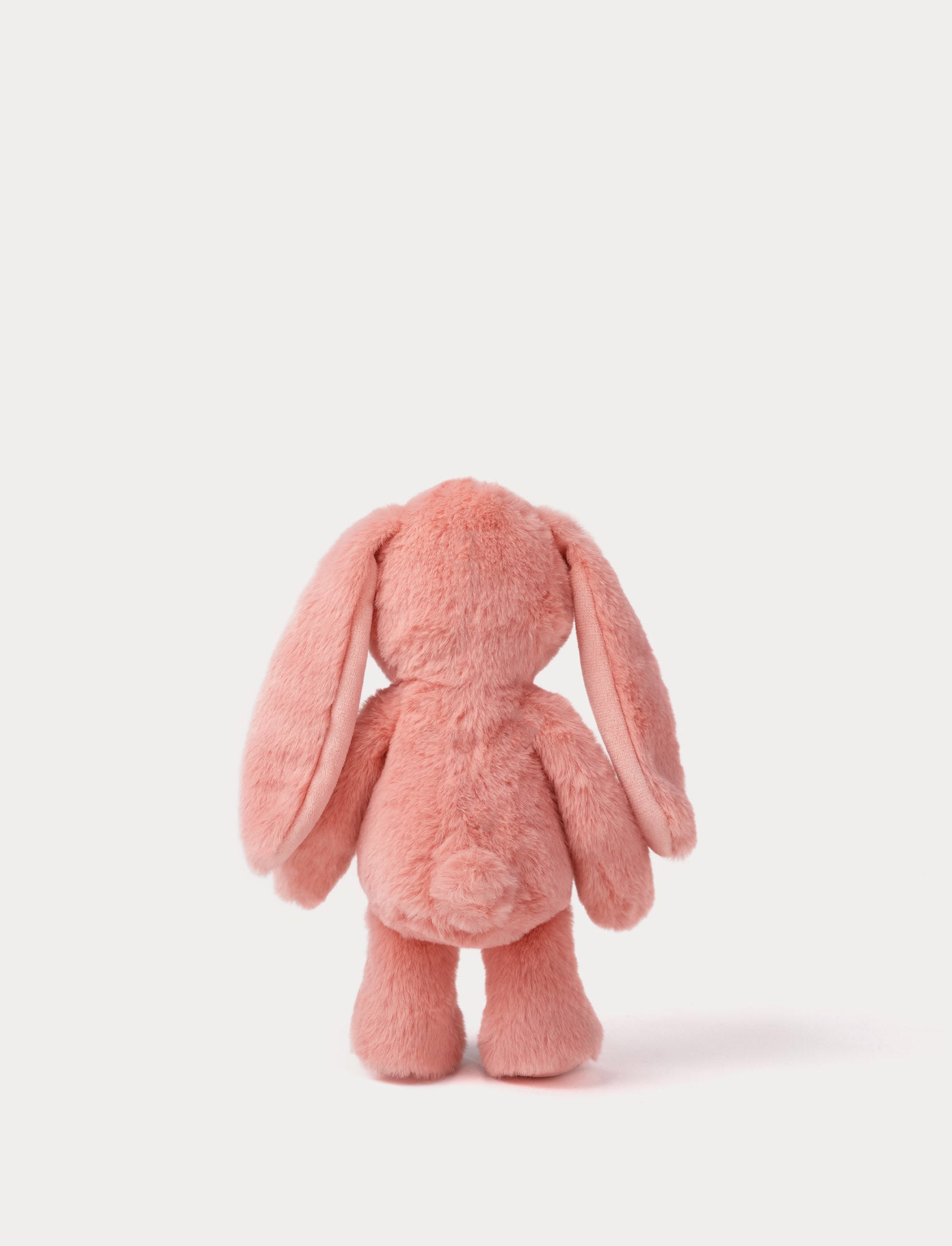  Image of Blooming Bunny, Lily