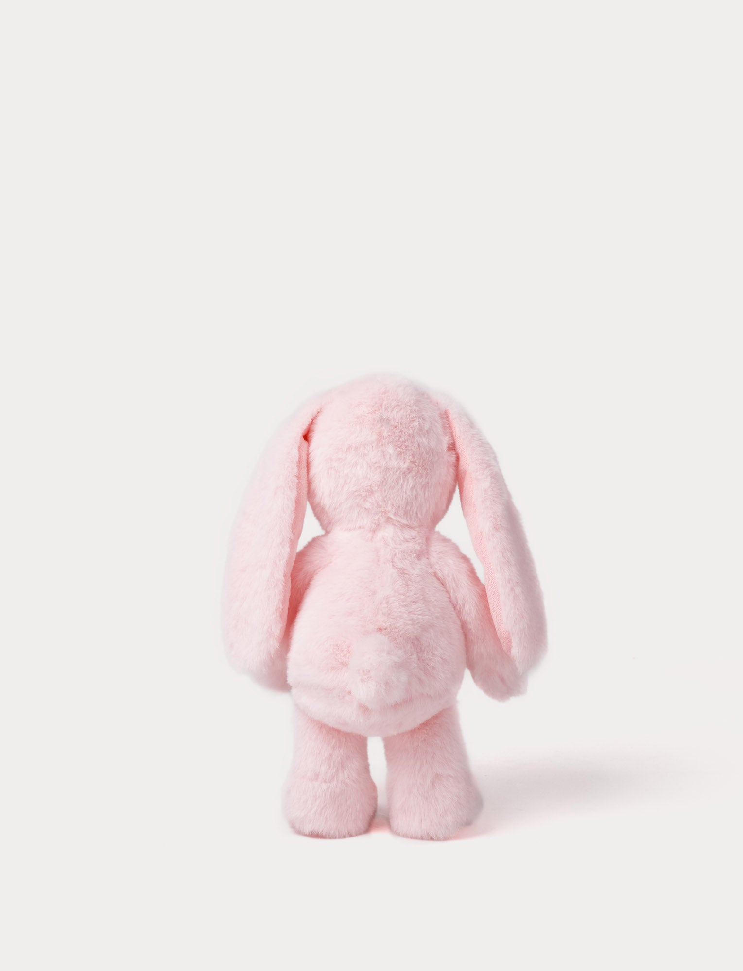  Image of Blooming Bunny, Rosie