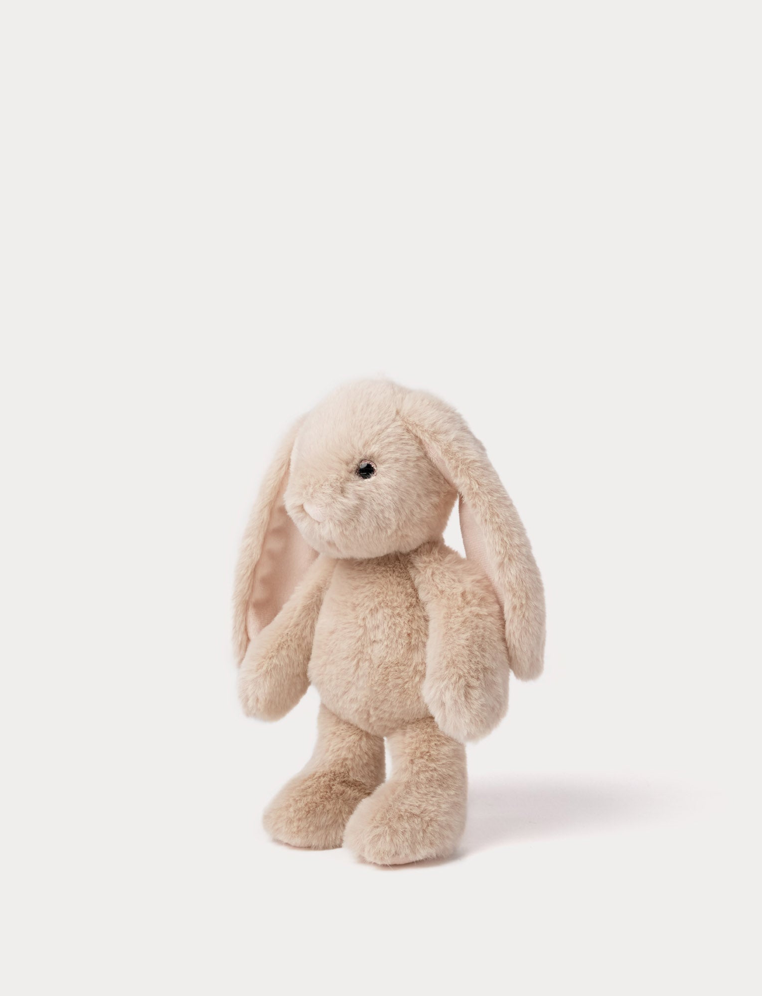  Image of Blooming Bunny, Hortensia