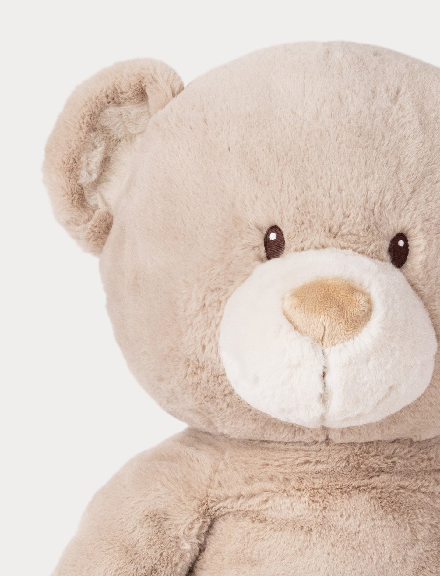 Teddy Mocca, Teddy, XL, Beige