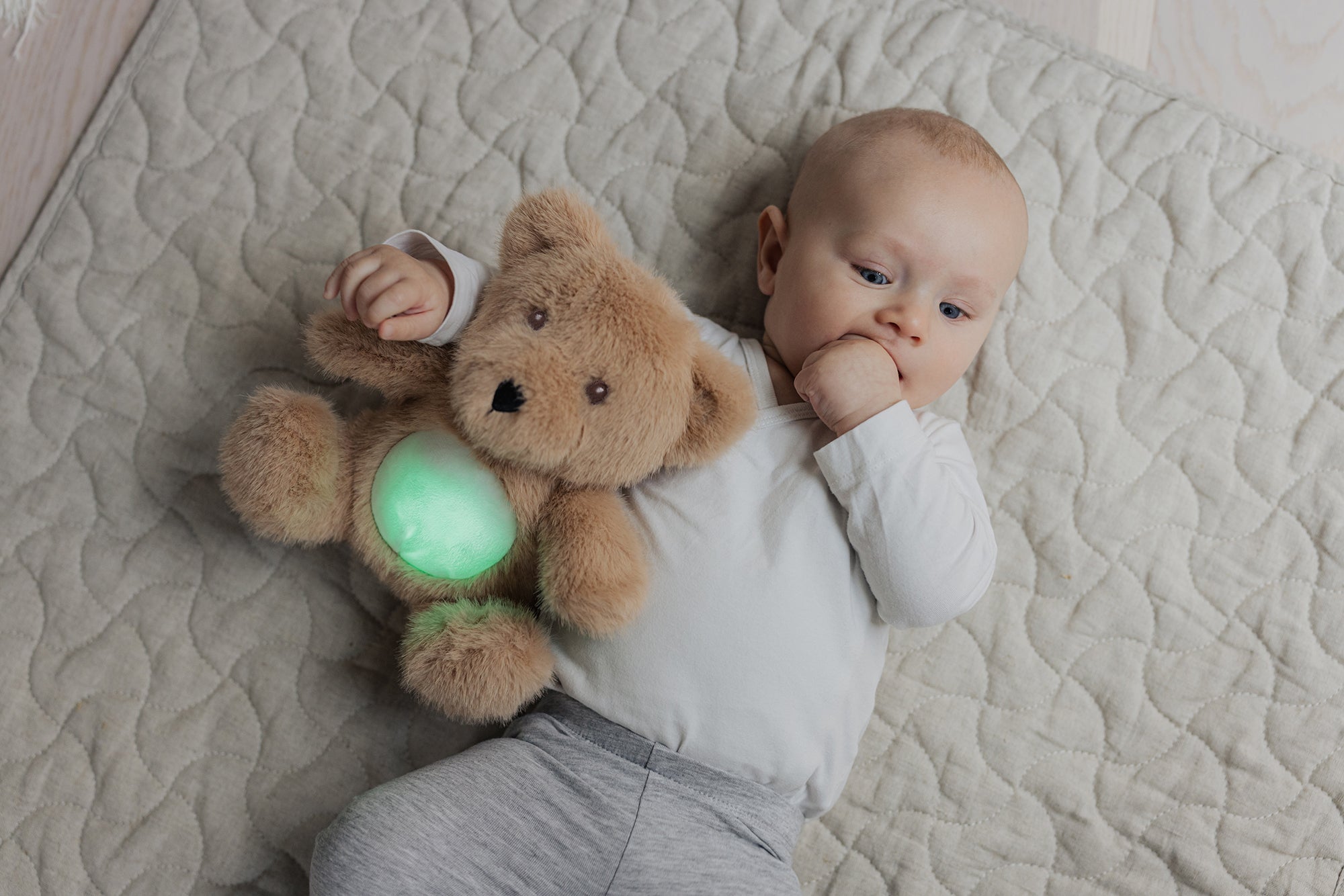  Image of files/4417_NightLightTeddy_BabyAbove_LOW_edit.jpg