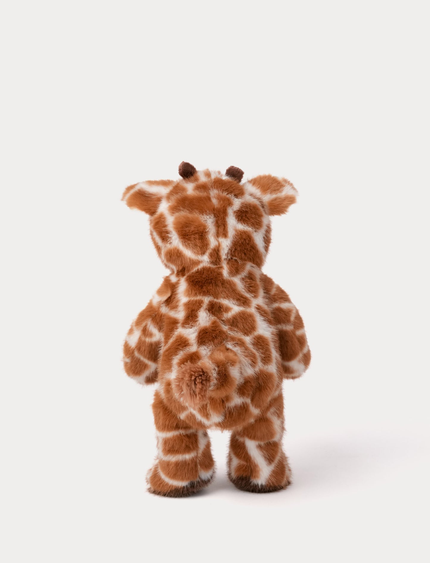 Teddy Wild, Giraffe