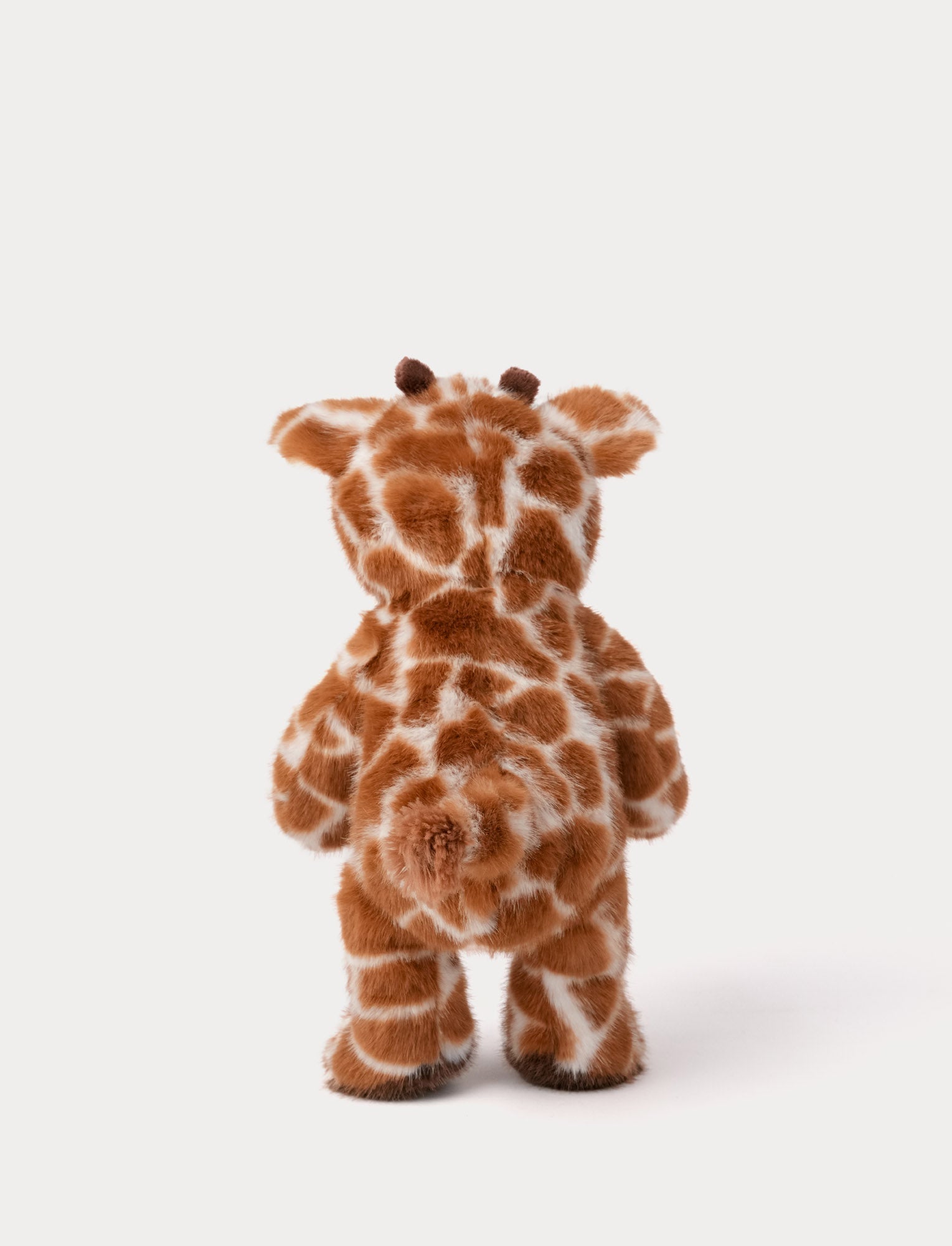  Image of Teddy Wild, Giraffe