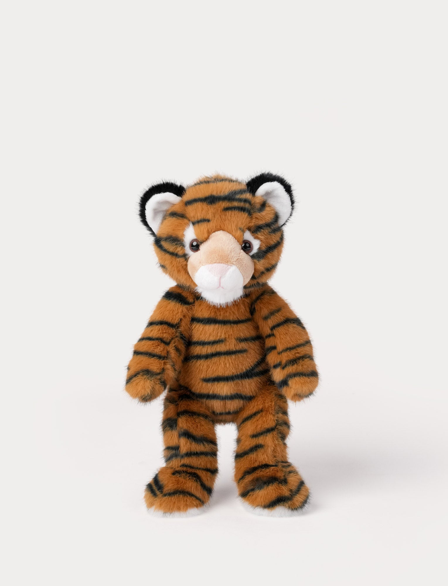  Image of Teddy Wild, Tiger