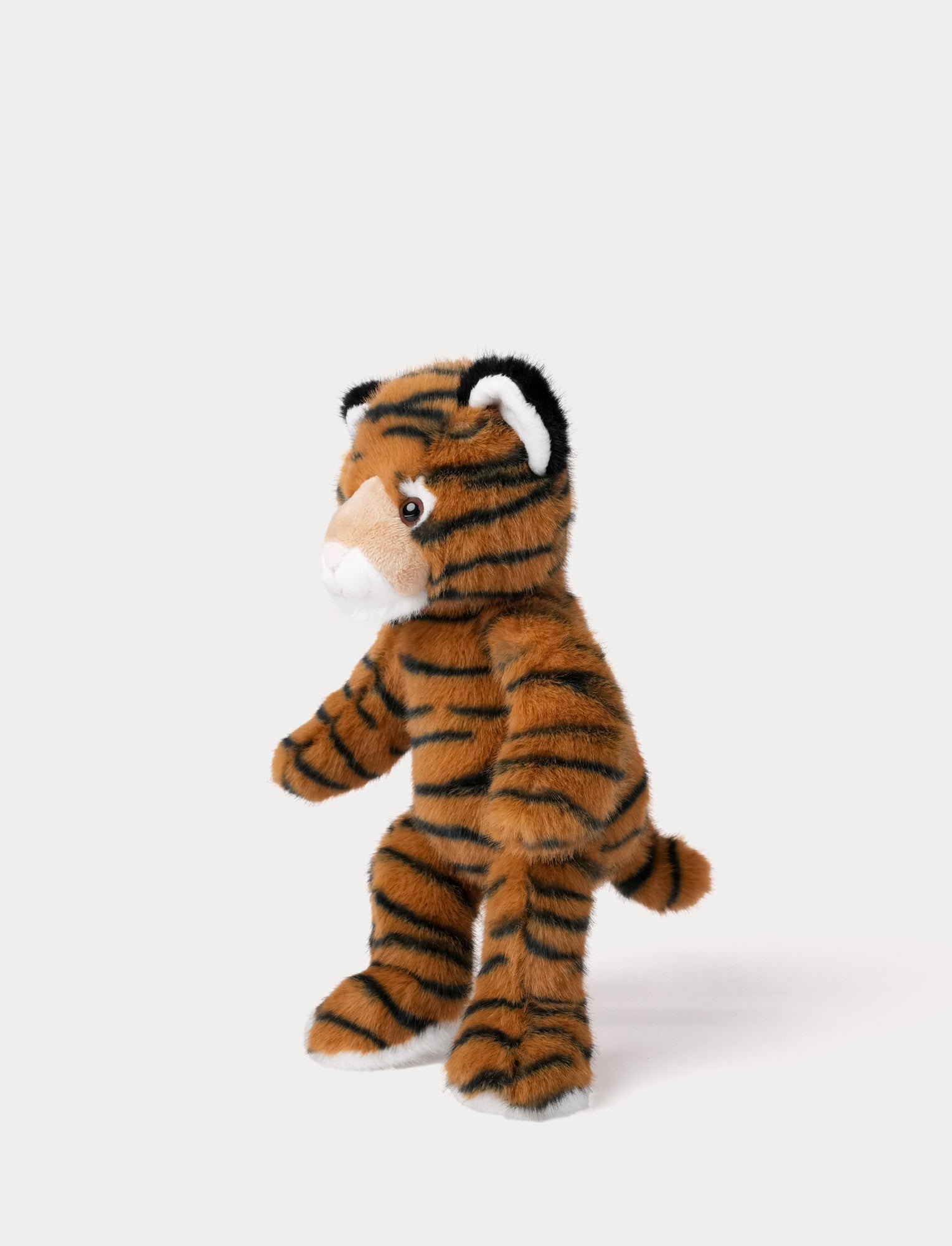 Image of Teddy Wild, Tiger