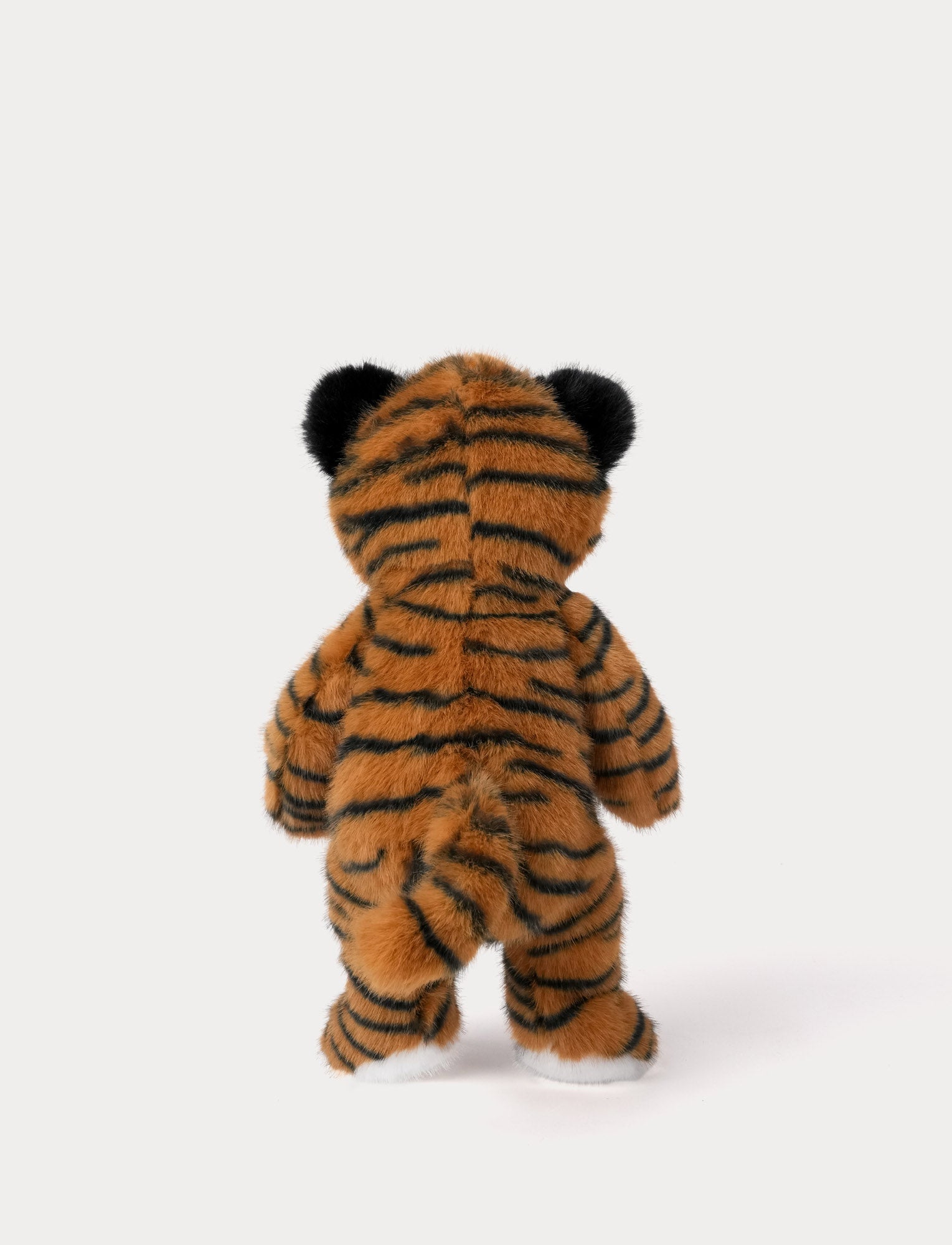  Image of Teddy Wild, Tiger