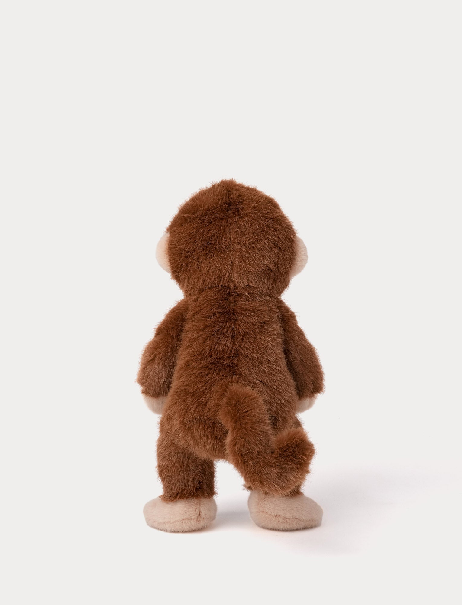  Image of Teddy Wild, Monkey