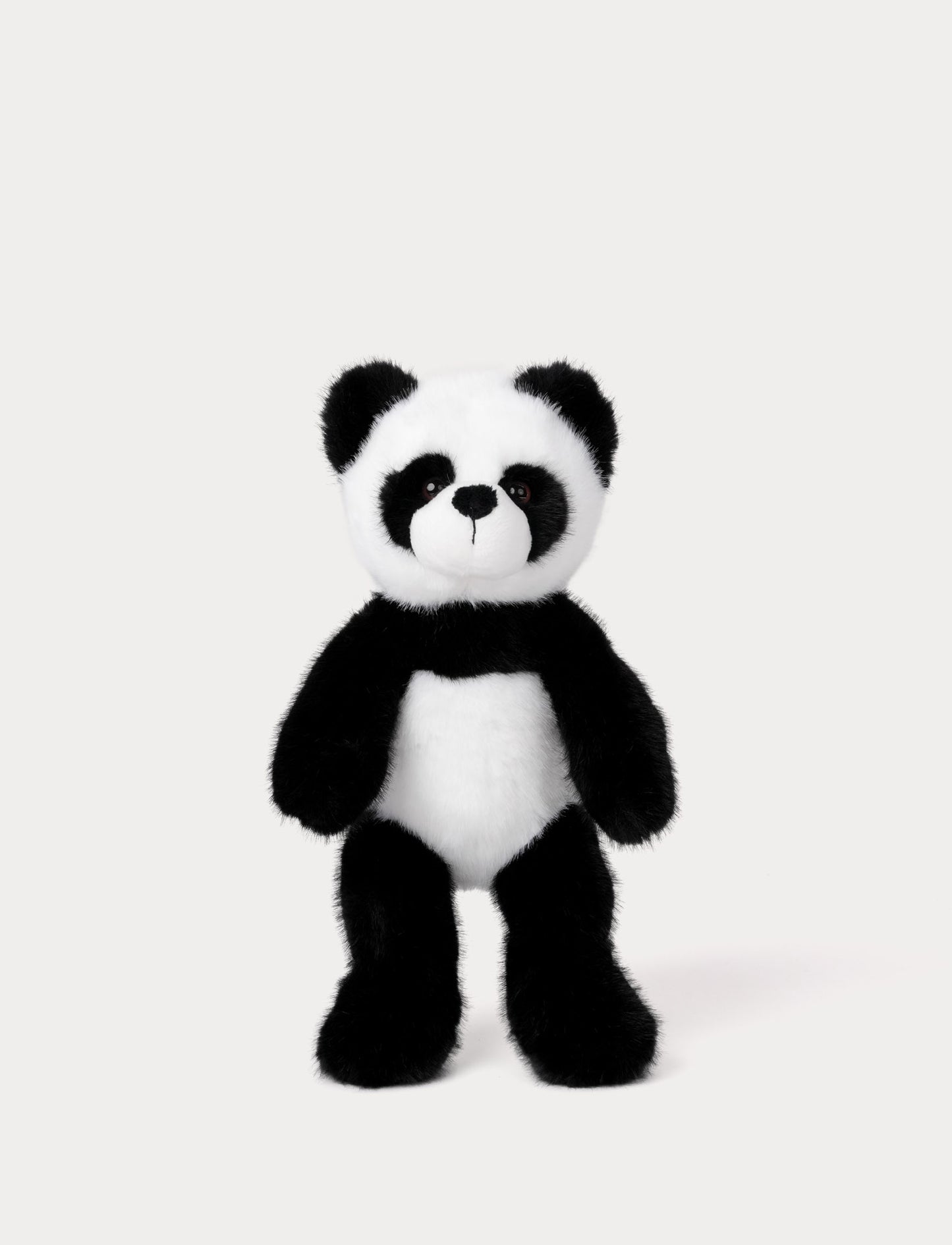 Teddy Wild, Panda