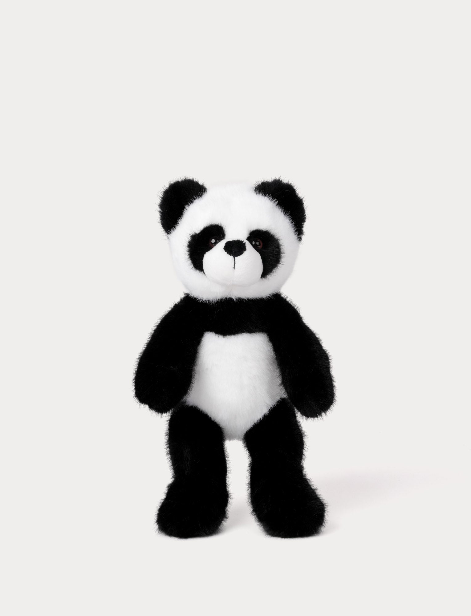  Image of Teddy Wild, Panda