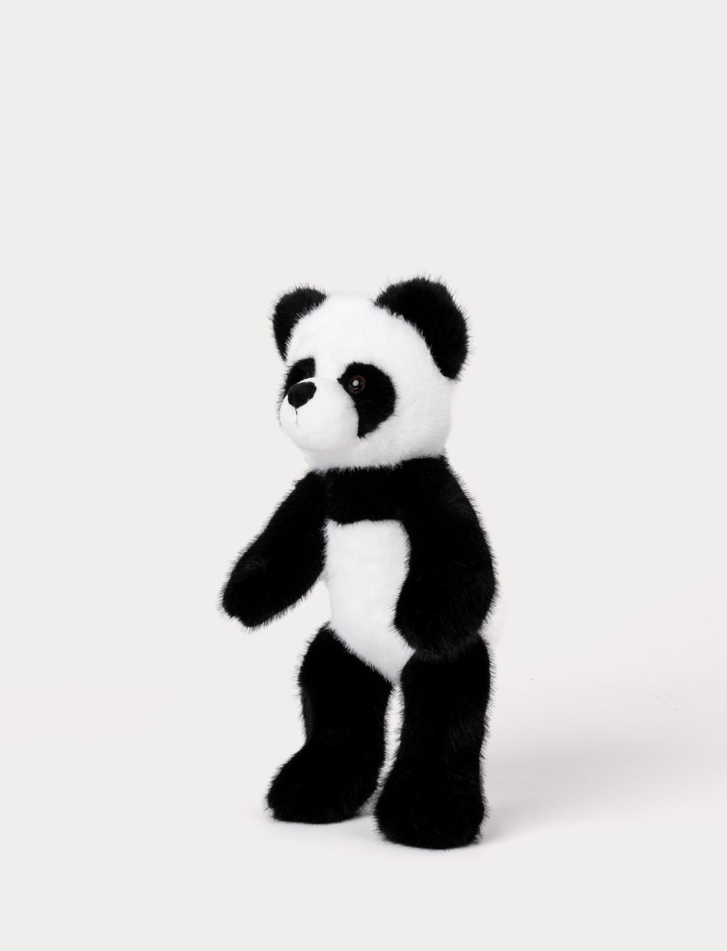 Teddy Wild, Panda