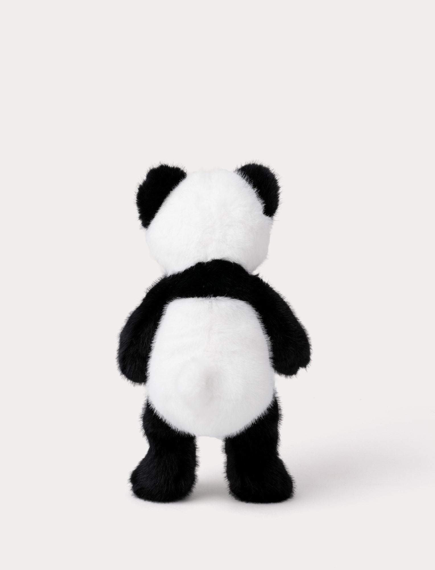  Image of Teddy Wild, Panda