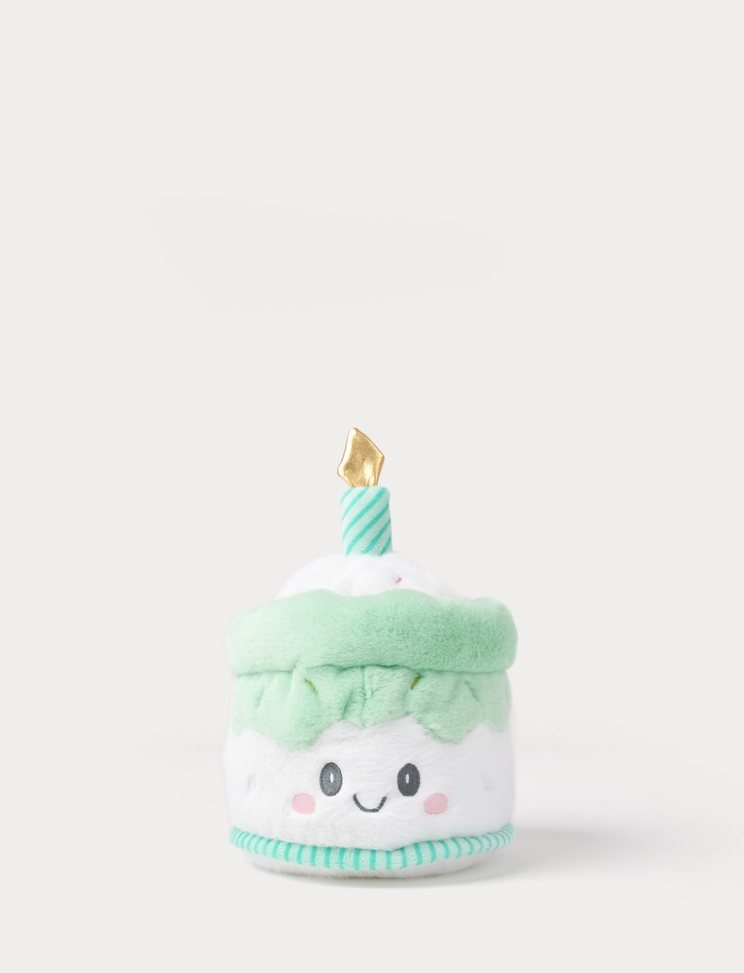 Teddy Party, Cake, Green