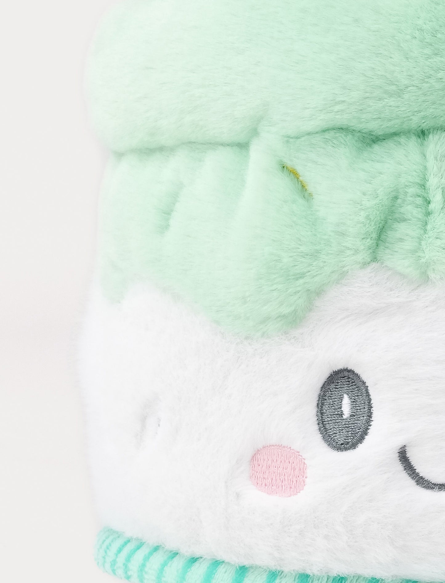 Teddy Party, Cake, Green