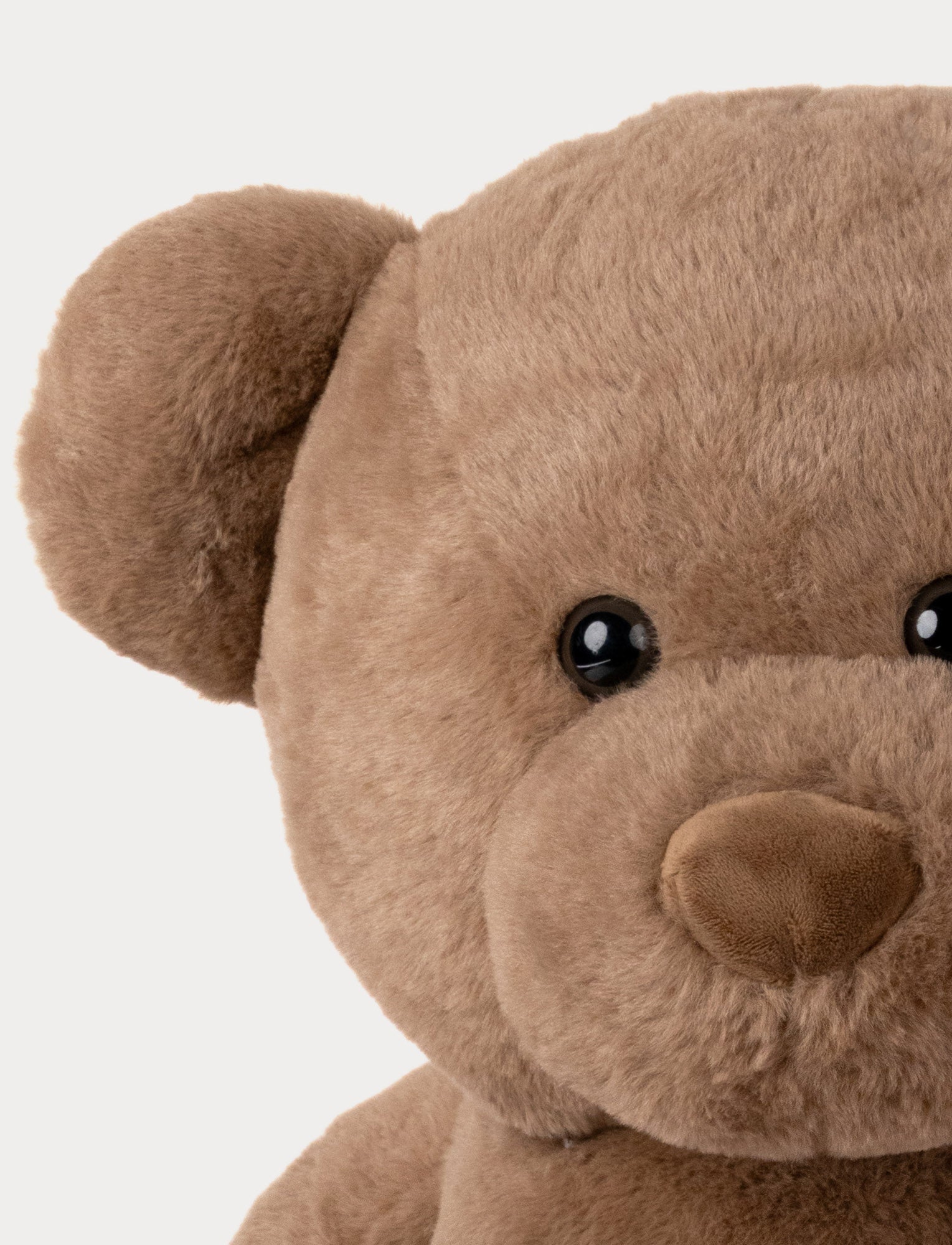  Image of Oliver, Teddy Bear