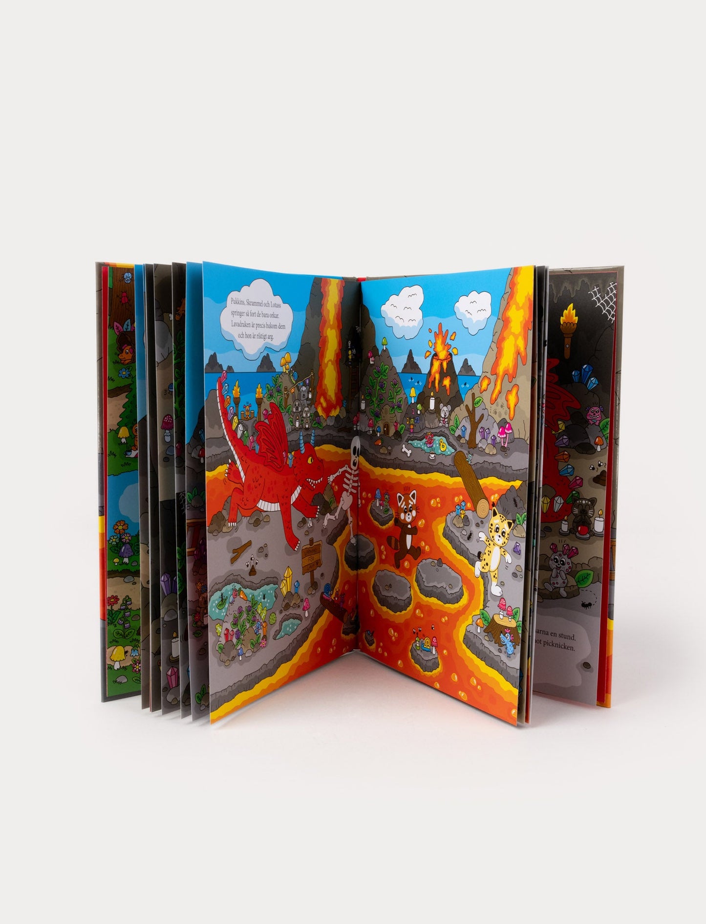 Pukkins and the Mystery of the Lava Dragon, Book