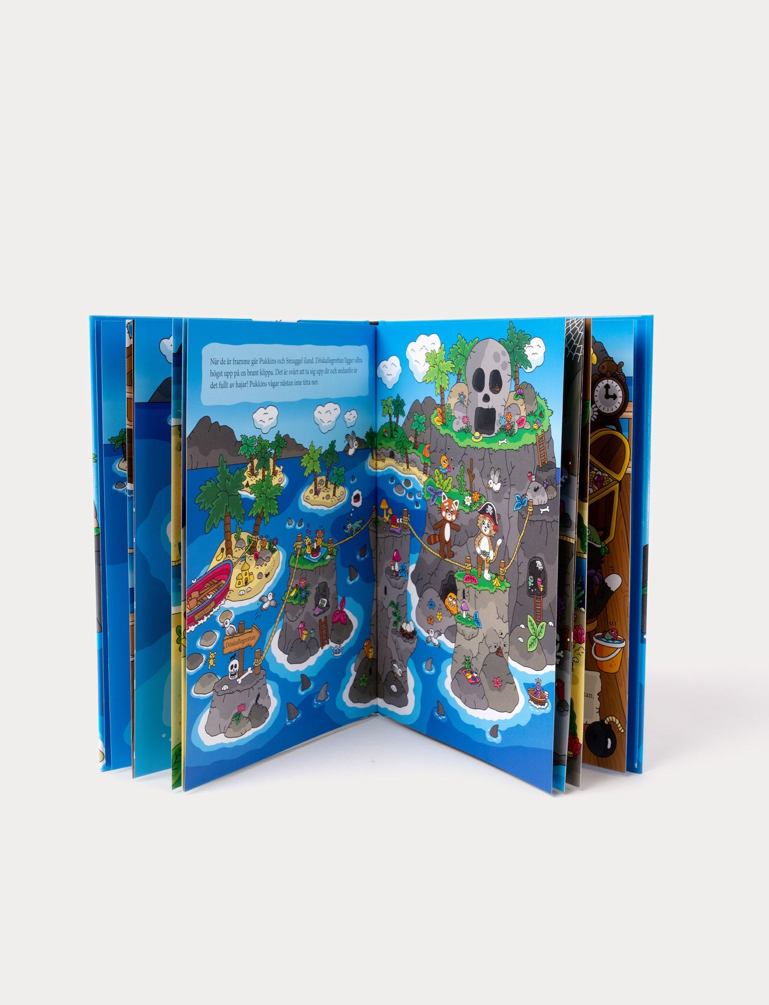  Image of Pukkins and the Pirates, Book