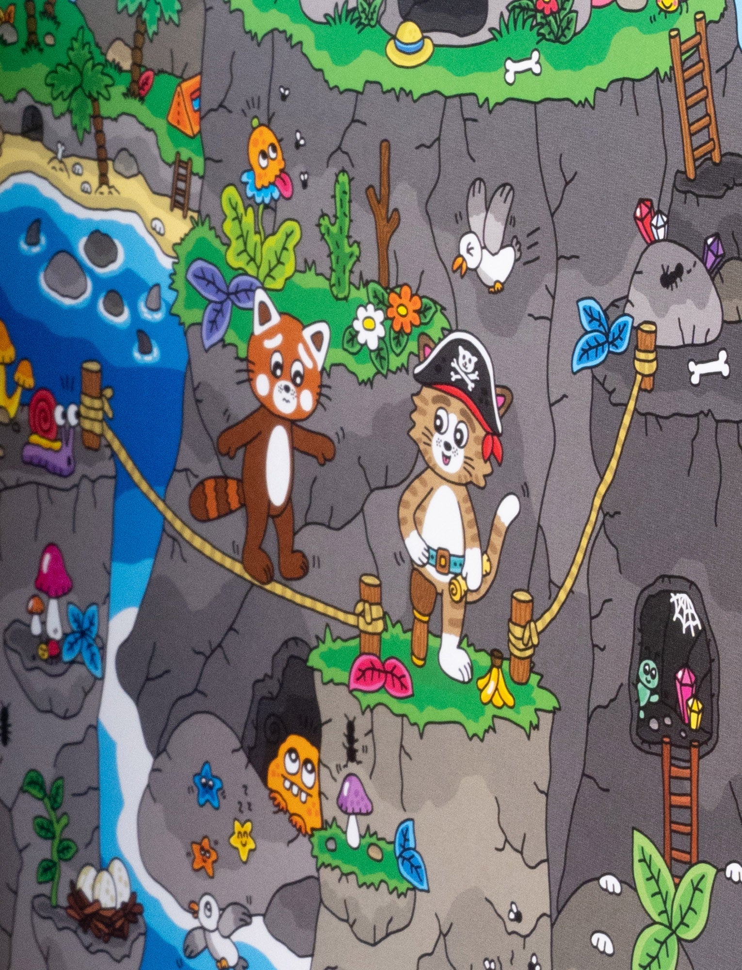  Image of Pukkins and the Pirates, Book