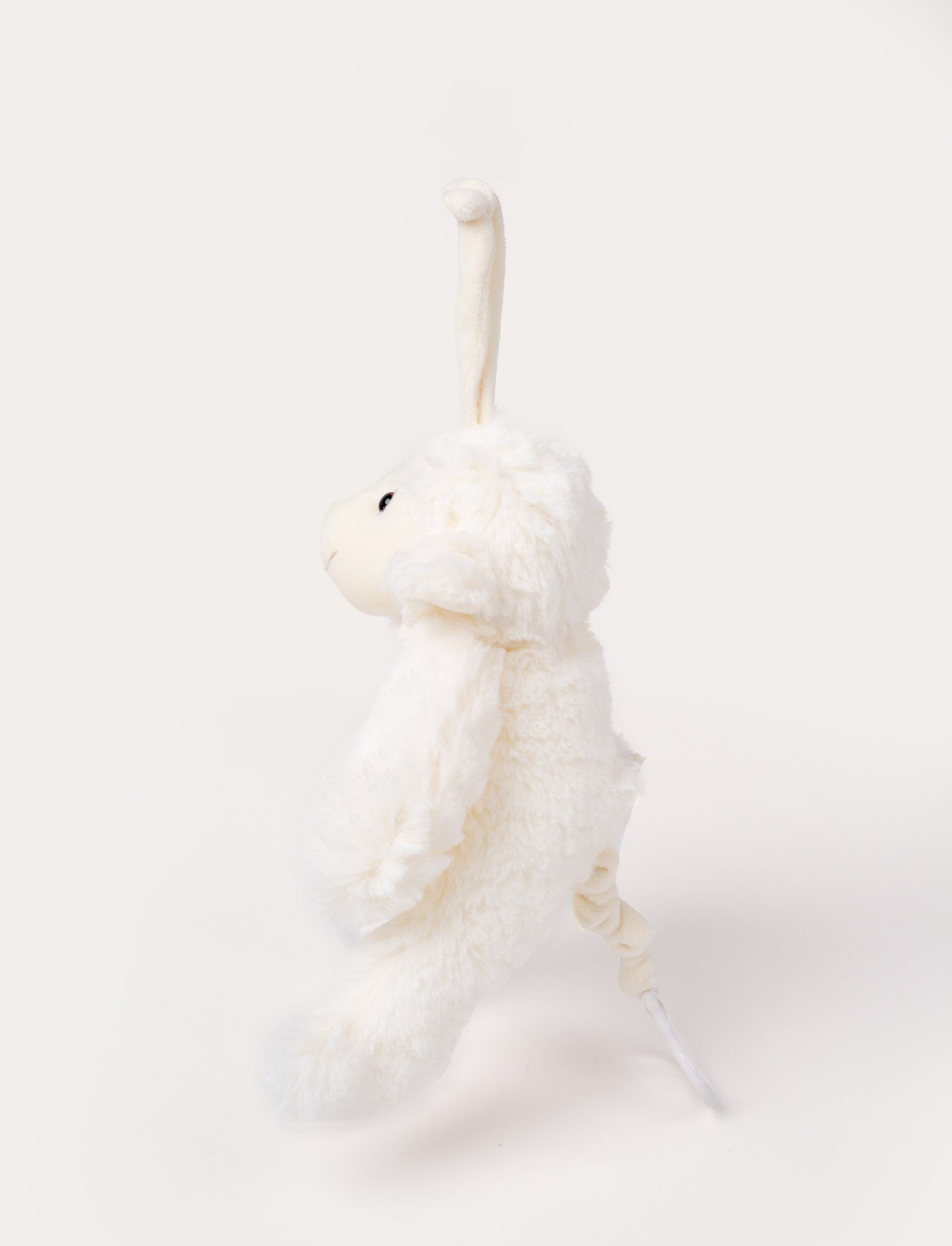  Image of Hampe, Music Box