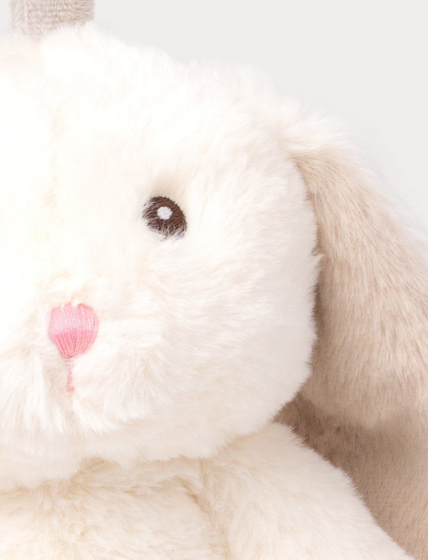 Lollan, Speldosa, Kanin