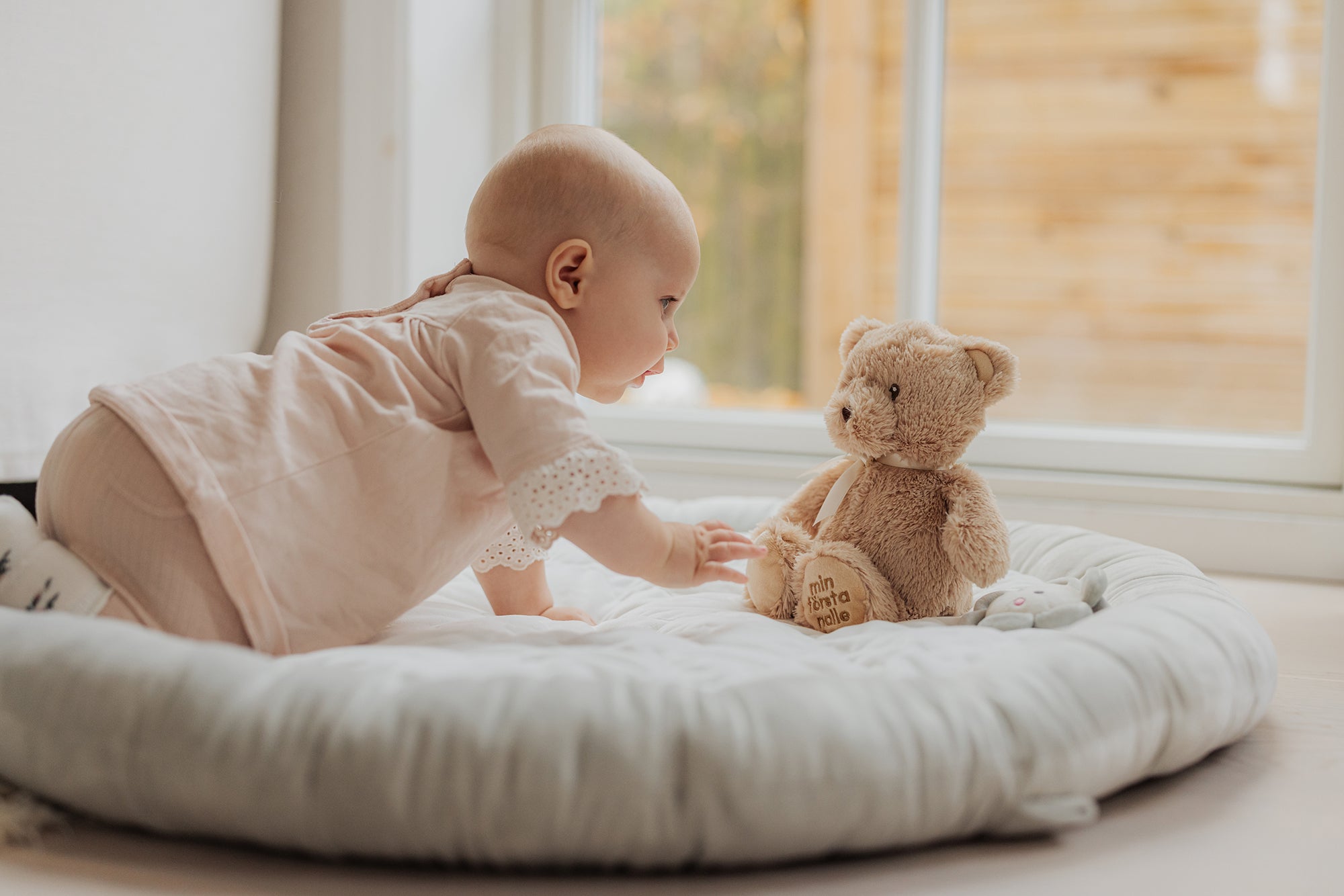  Image of files/5353_FirstTeddy_Babytalk_LOW.jpg