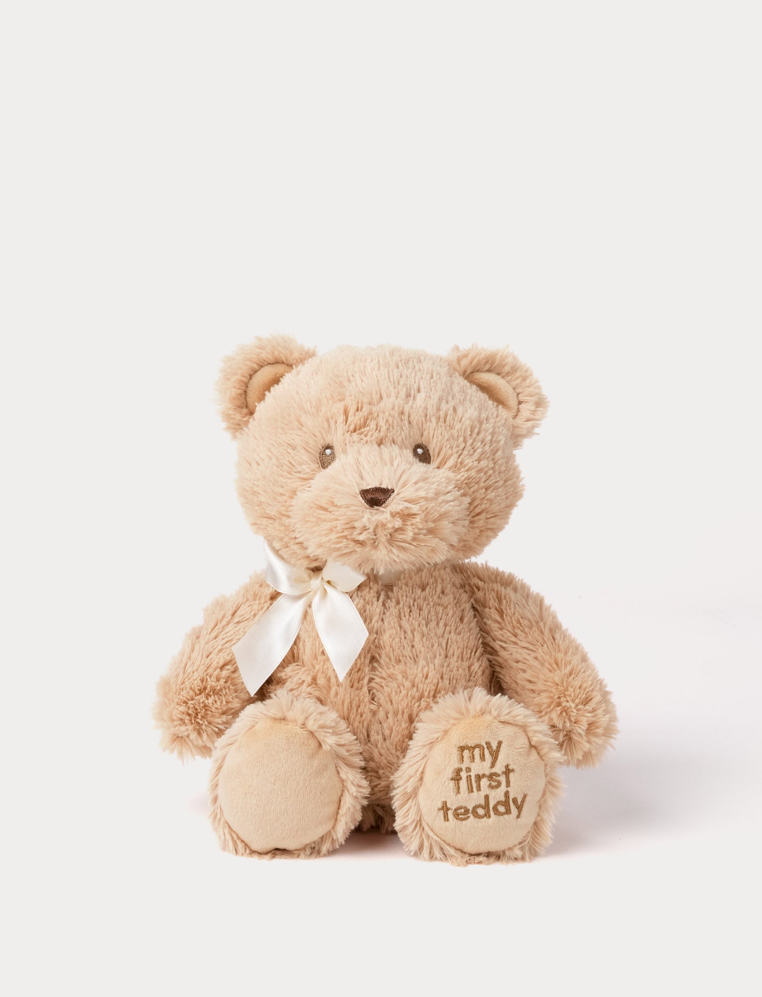  Image of My First Teddy, English