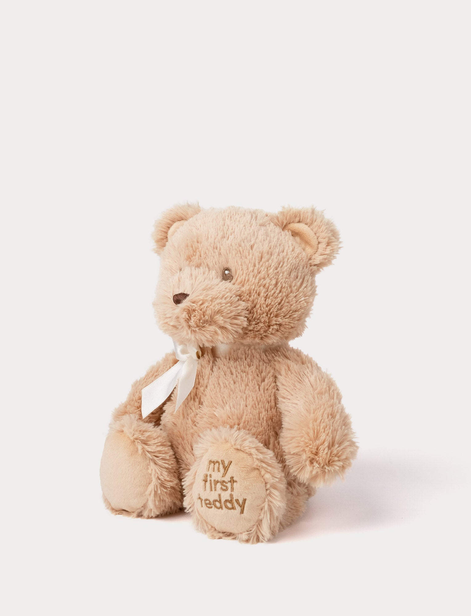  Image of My First Teddy, English