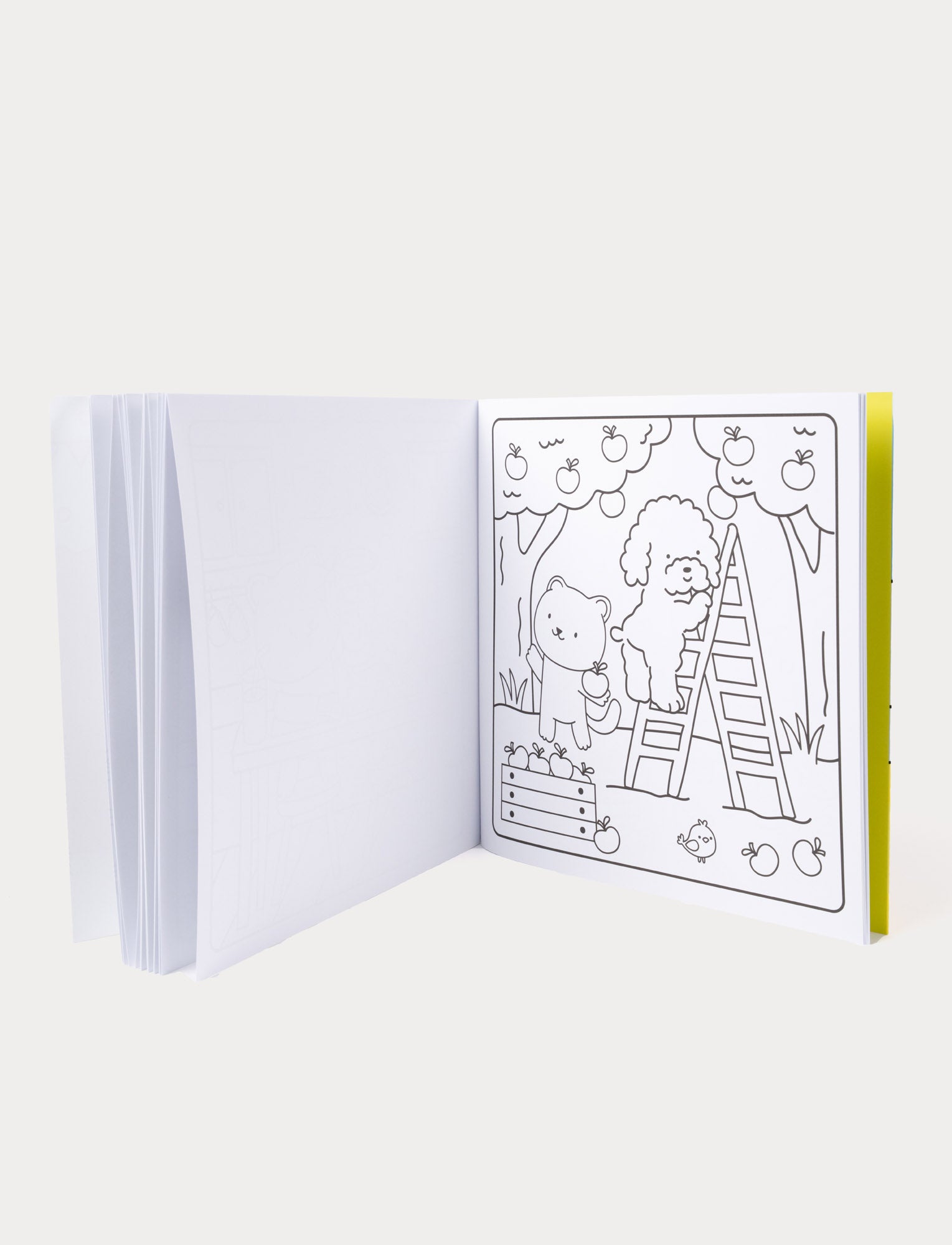  Image of Sunny vibes - Sweet Life