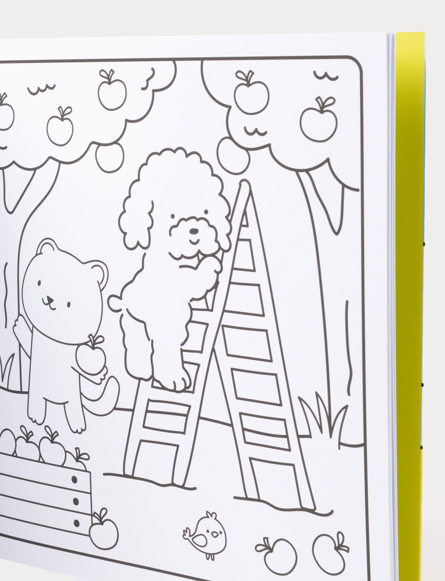  Image of Sunny vibes - Sweet Life