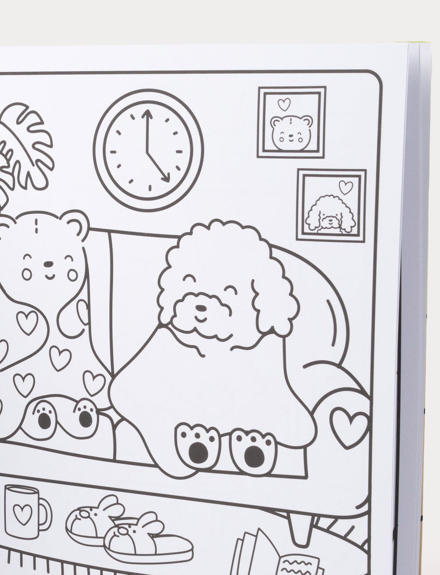  Image of Sunny vibes - Cozy & Calm