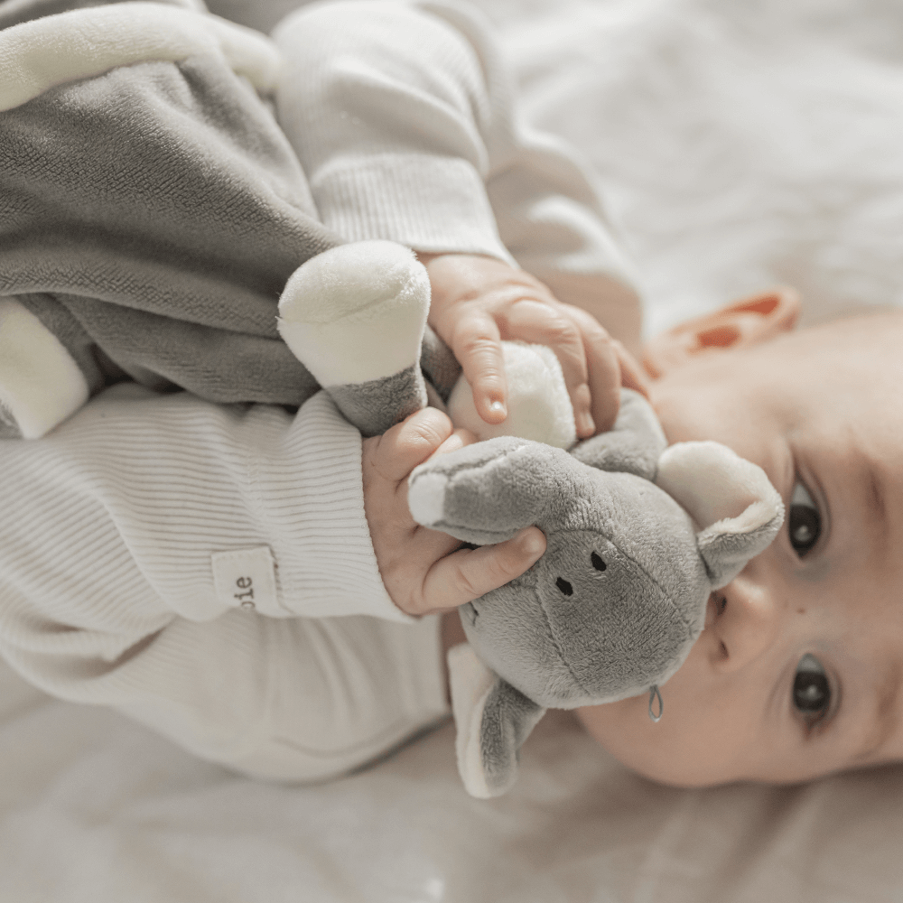  Image of files/66bb494e6b28e.png