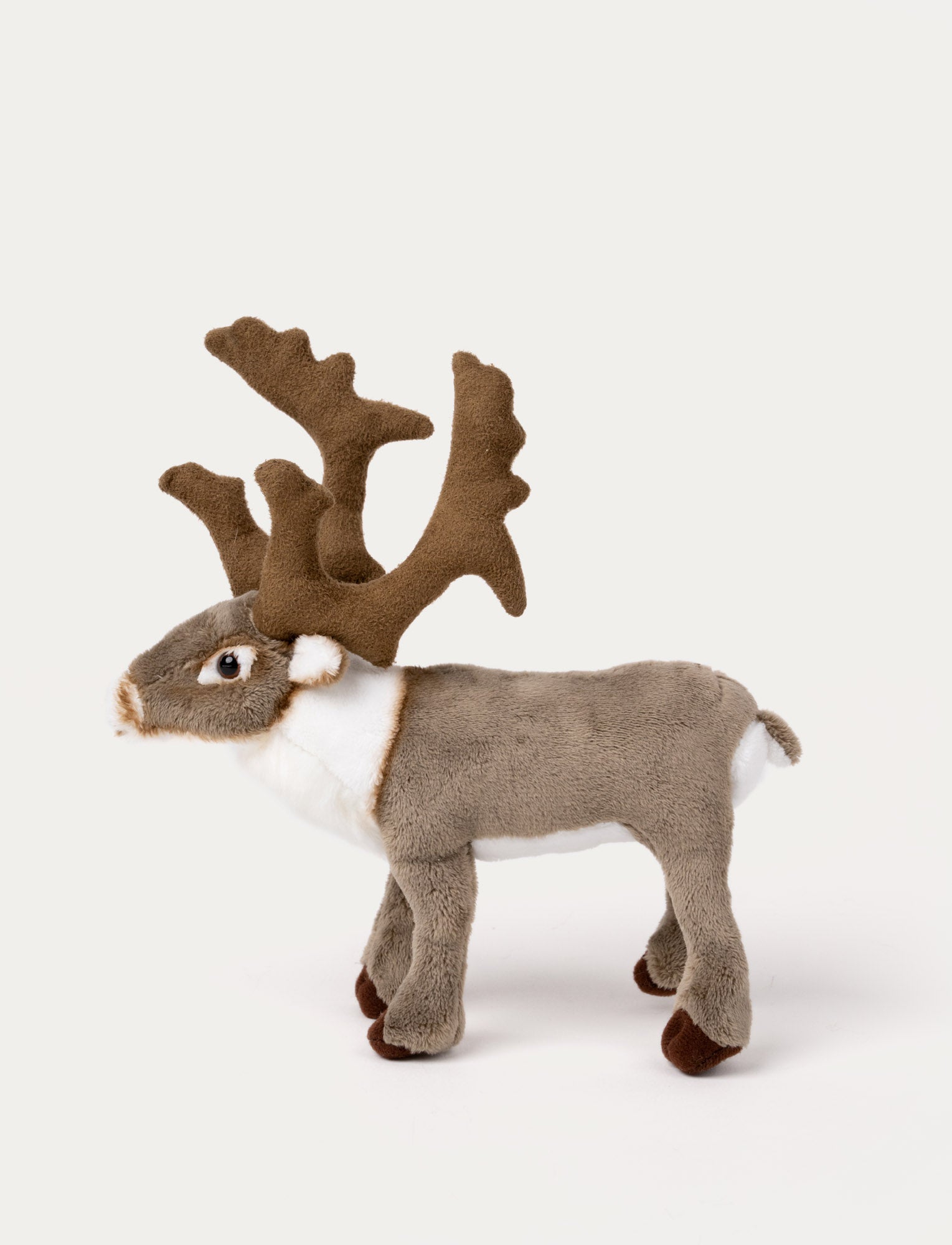  Image of Reindeer, Small