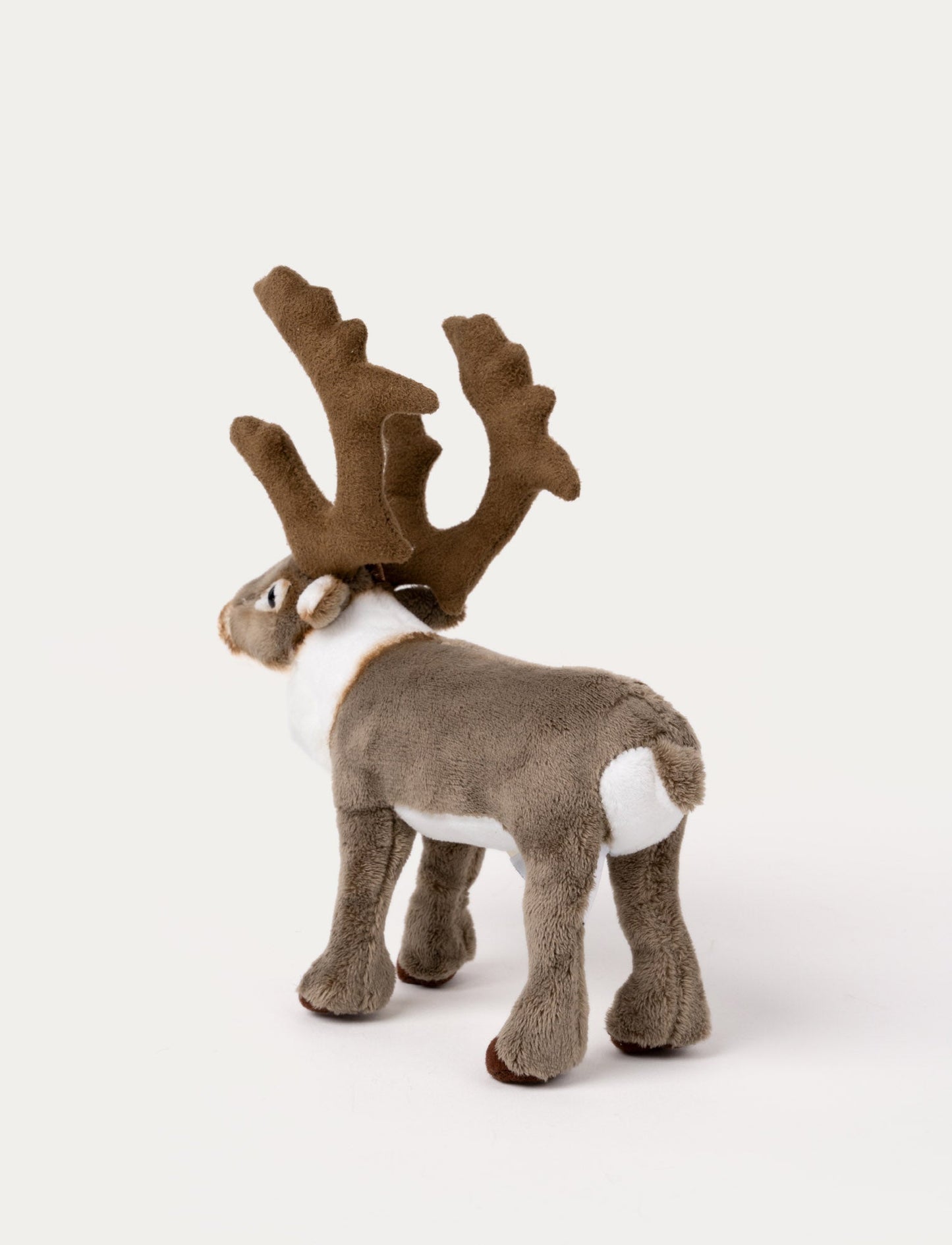 Reindeer, Small