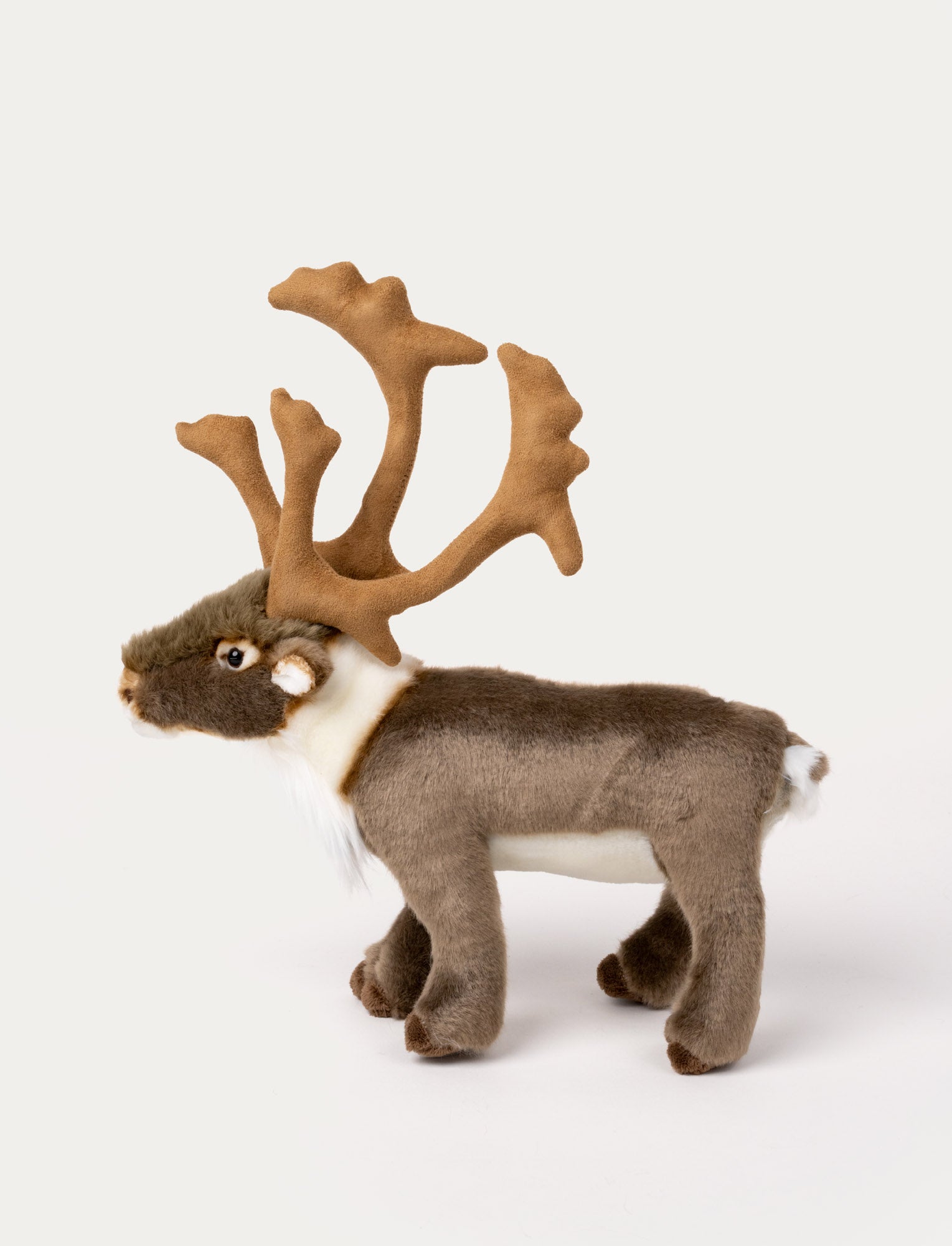  Image of Reindeer, Big