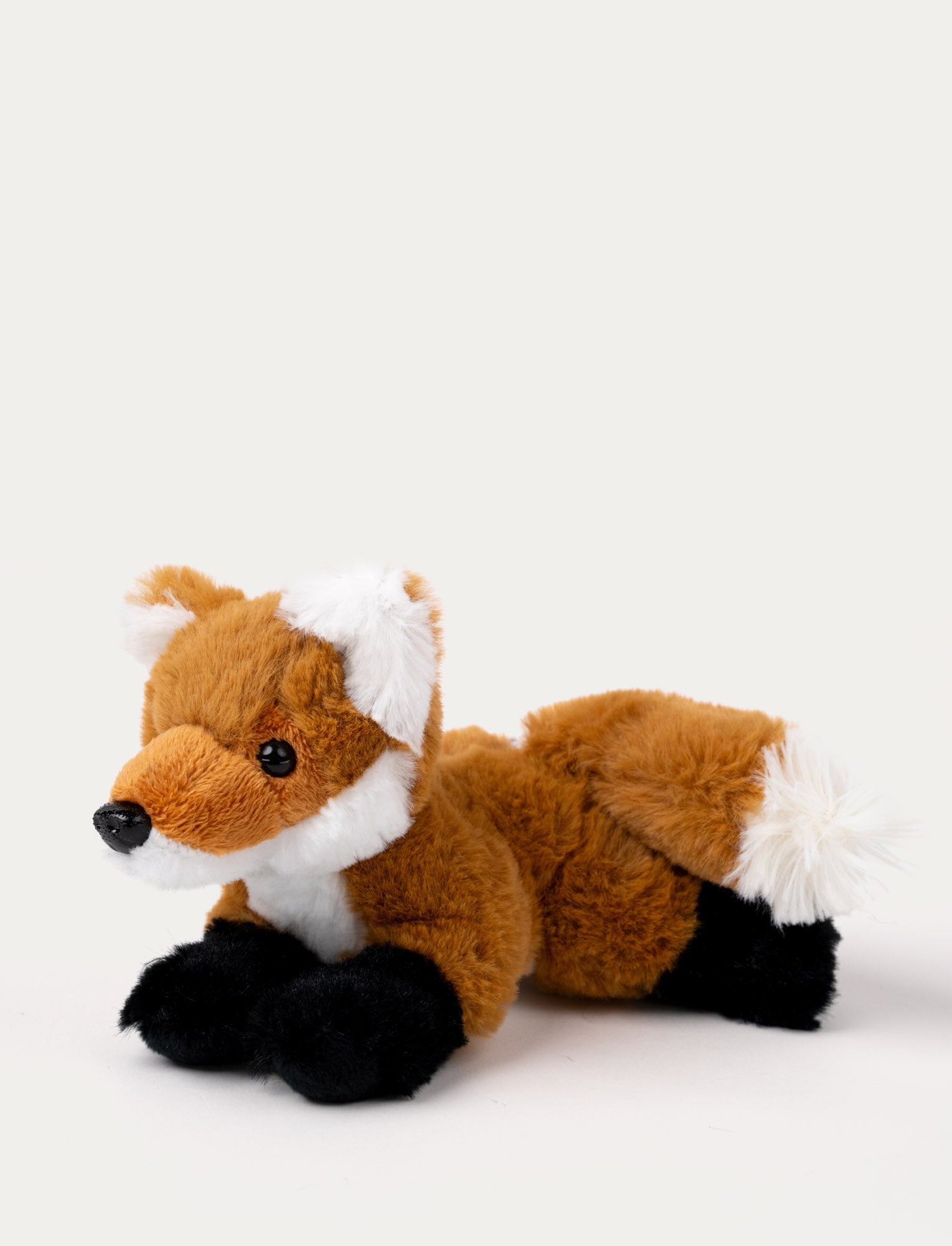  Image of Forest Animals